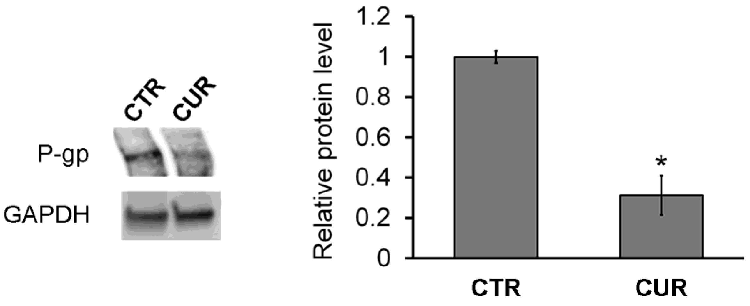 Ijms 25 13416 g001 Ijms 25 13416 g001
