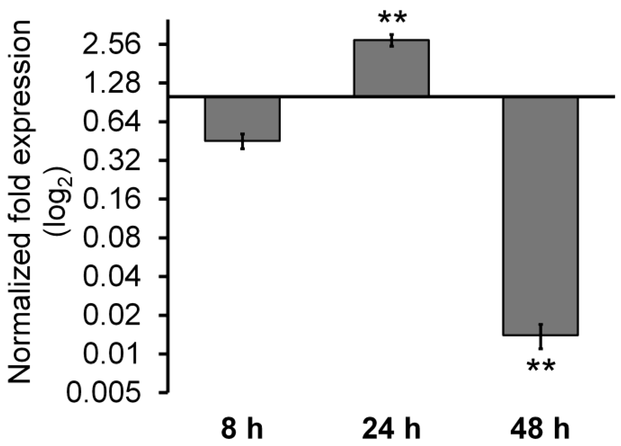 Ijms 25 13416 g002 Ijms 25 13416 g002