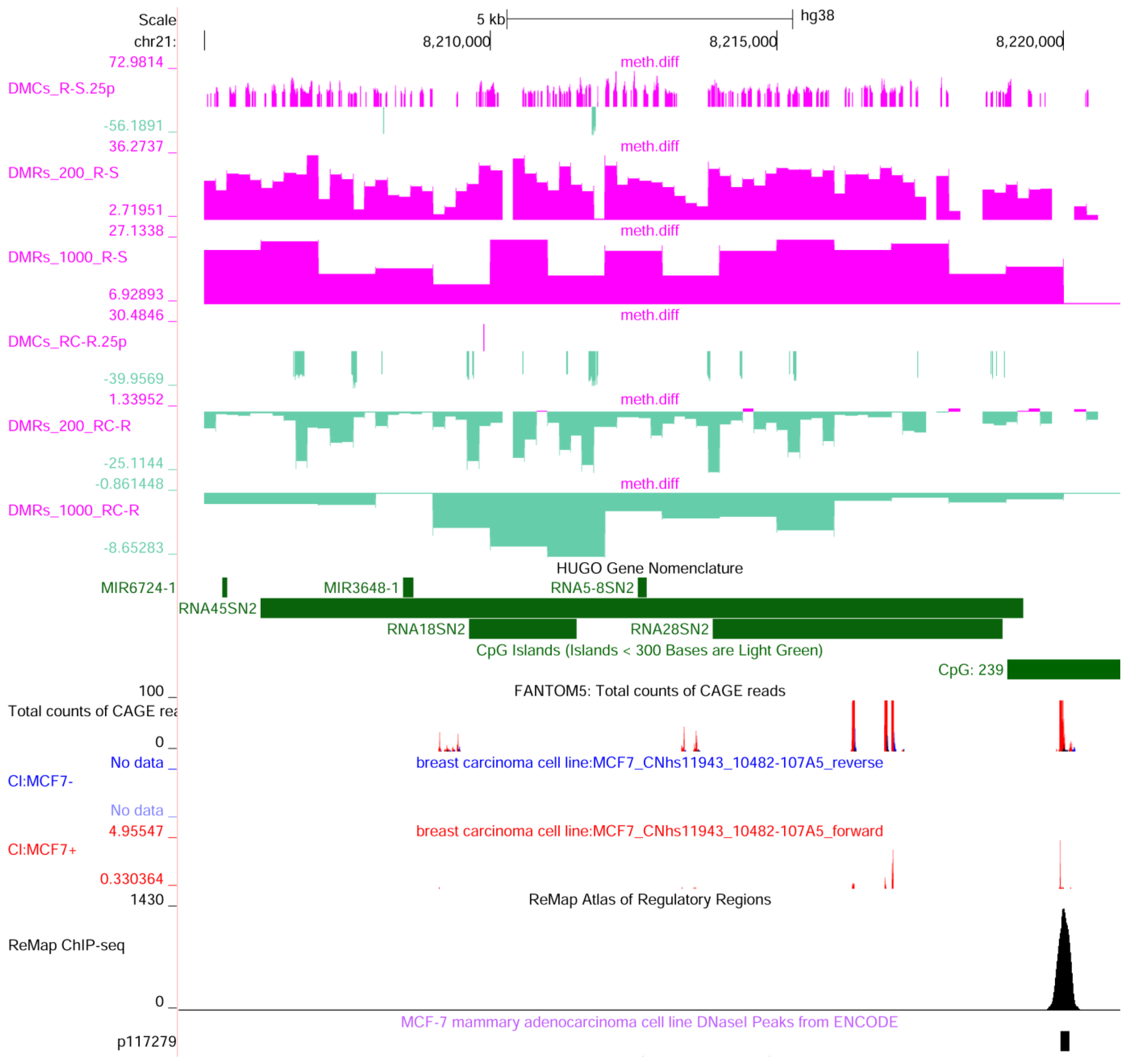 Ijms 25 13416 g007 Ijms 25 13416 g007