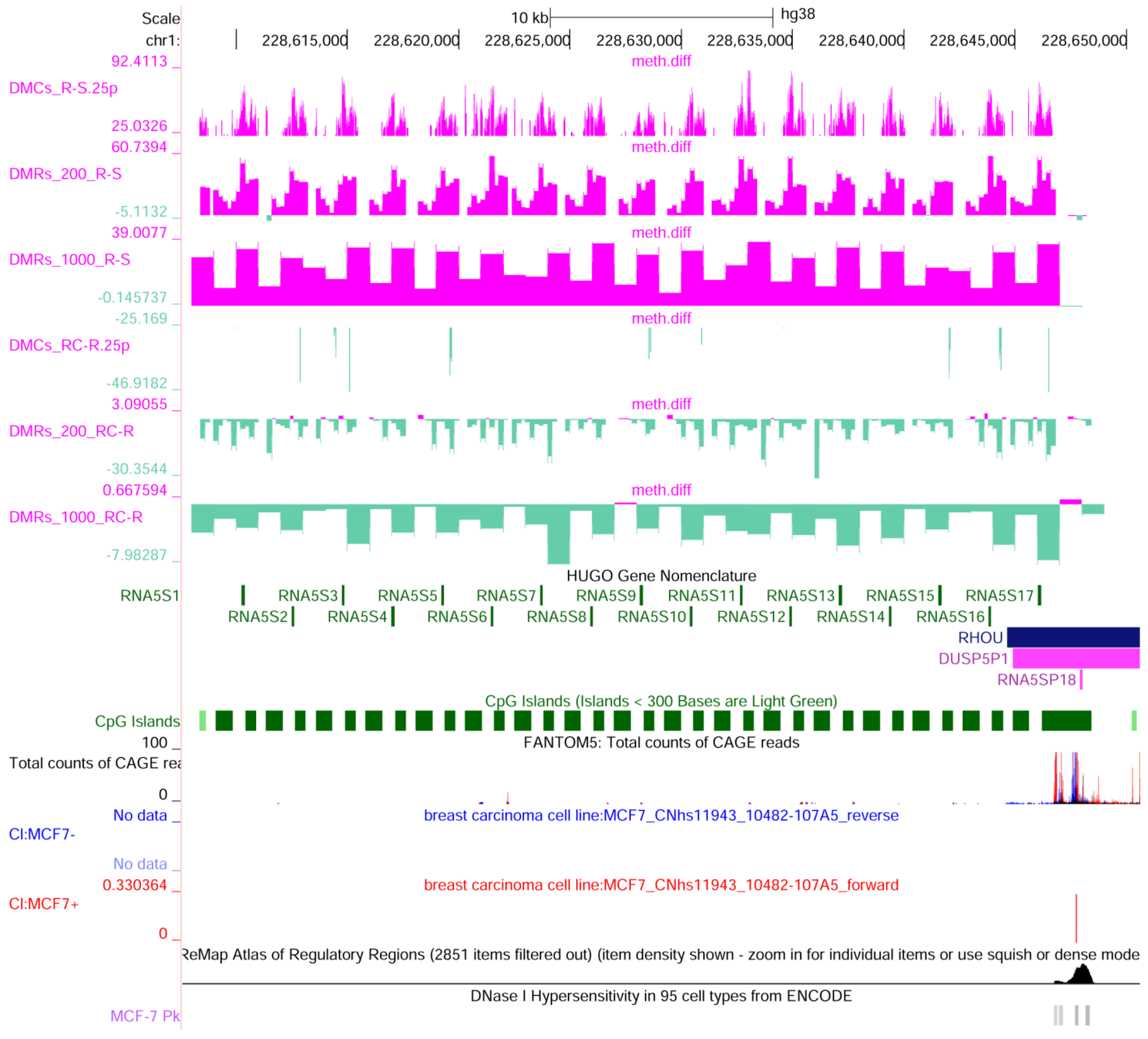Ijms 25 13416 g008 Ijms 25 13416 g008