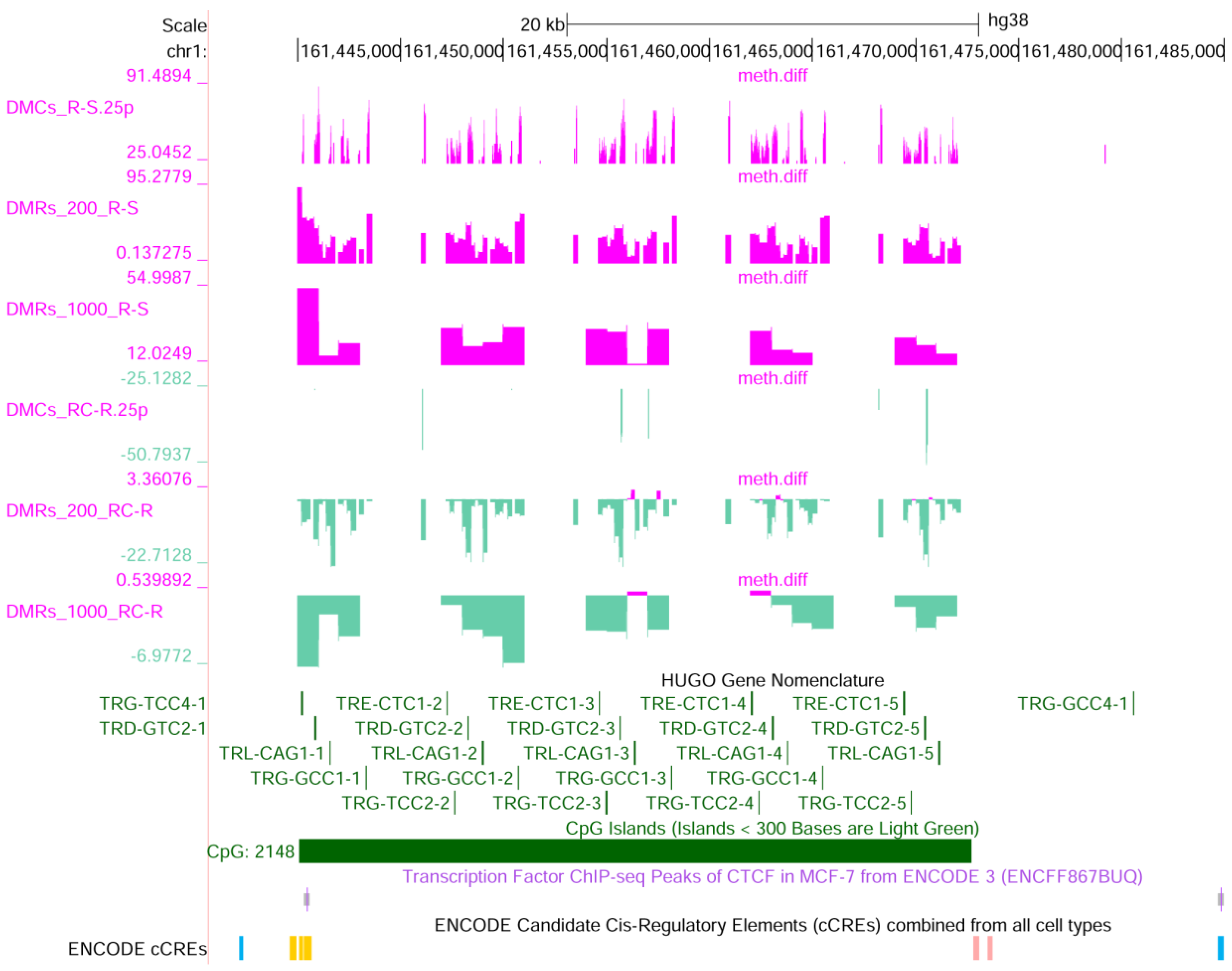 Ijms 25 13416 g009 Ijms 25 13416 g009