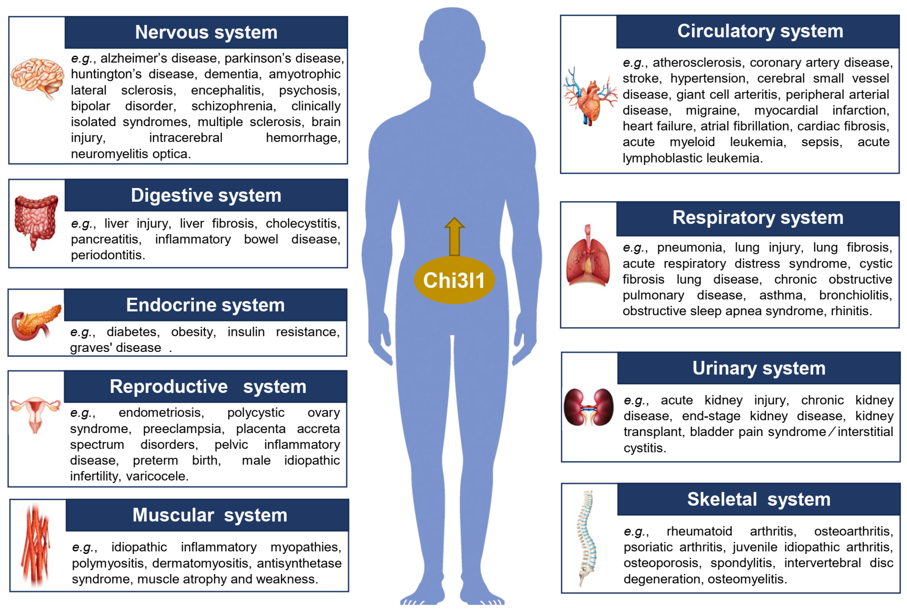 Ijms 25 13437 g001 Ijms 25 13437 g001