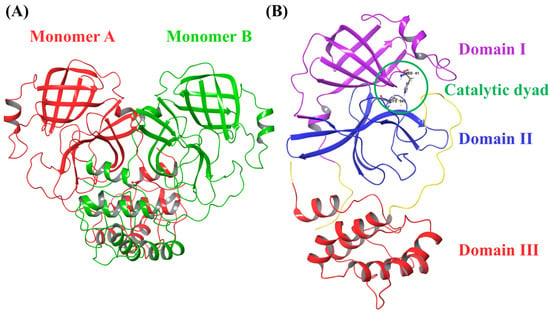 Molecular Insights into Structural Dynamics and Binding Interactions of  Selected Inhibitors Targeting SARS-CoV-2 Main Protease