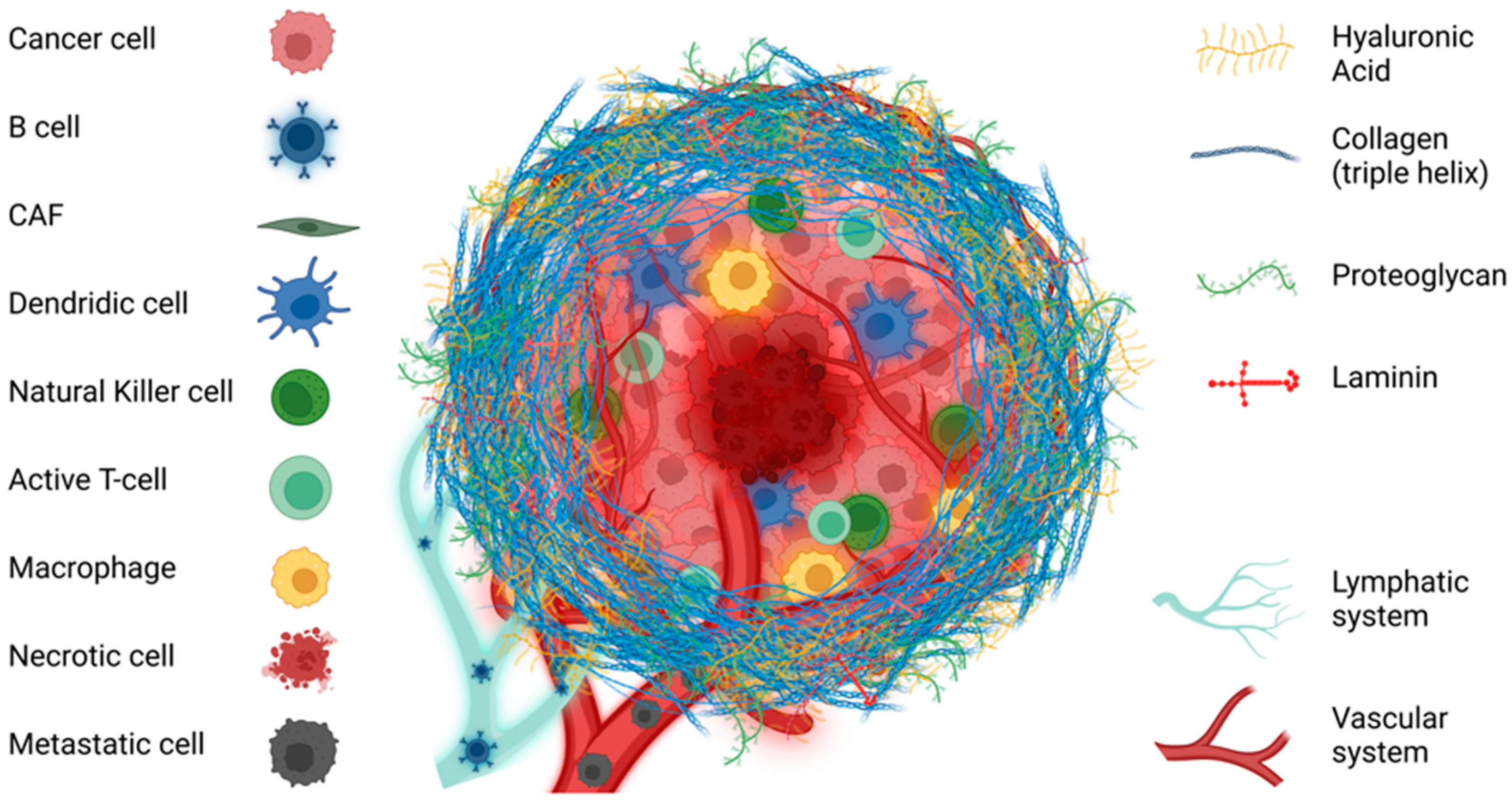 Ijms 25 13523 g001 Ijms 25 13523 g001