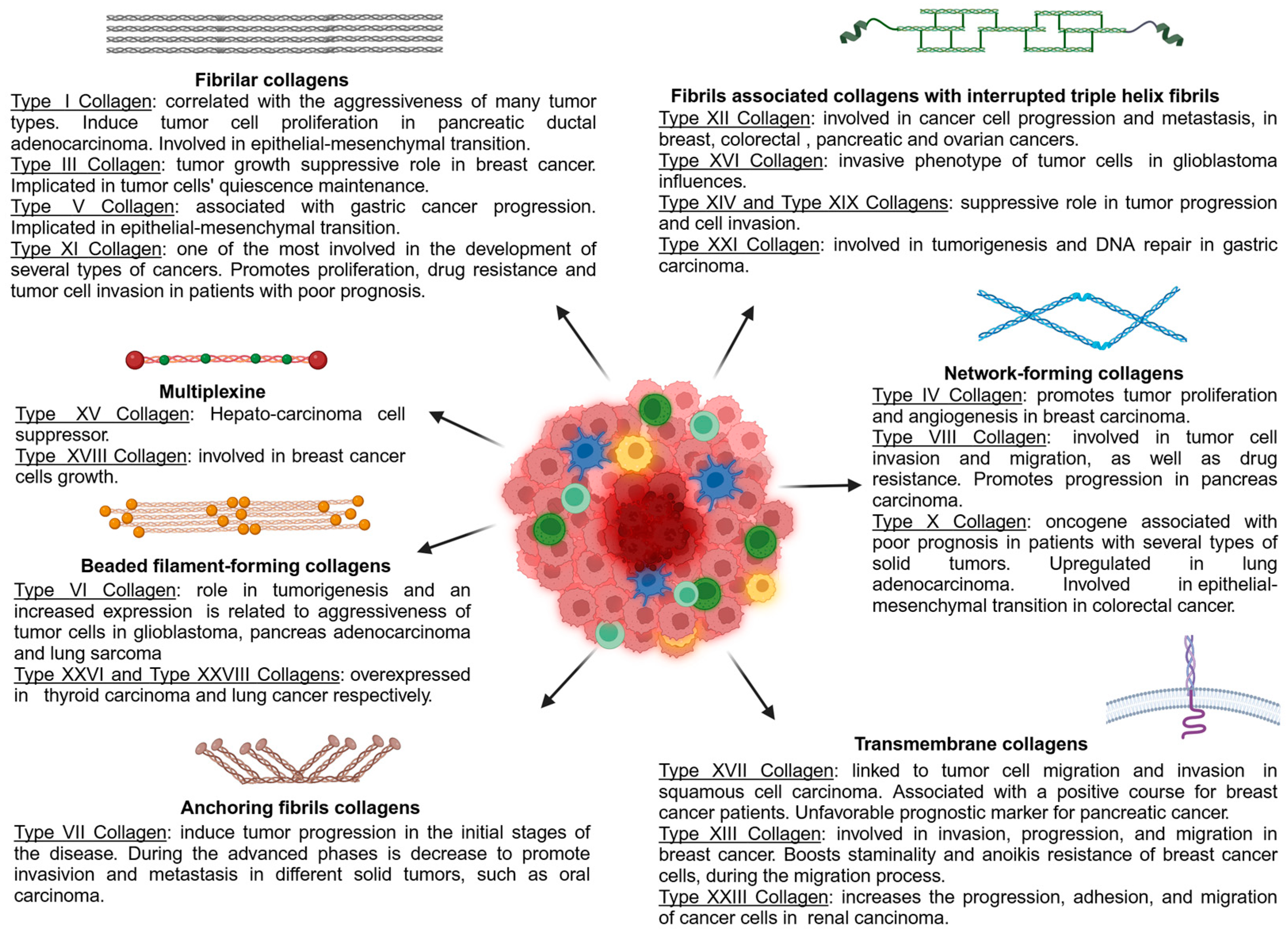 Ijms 25 13523 g002 Ijms 25 13523 g002
