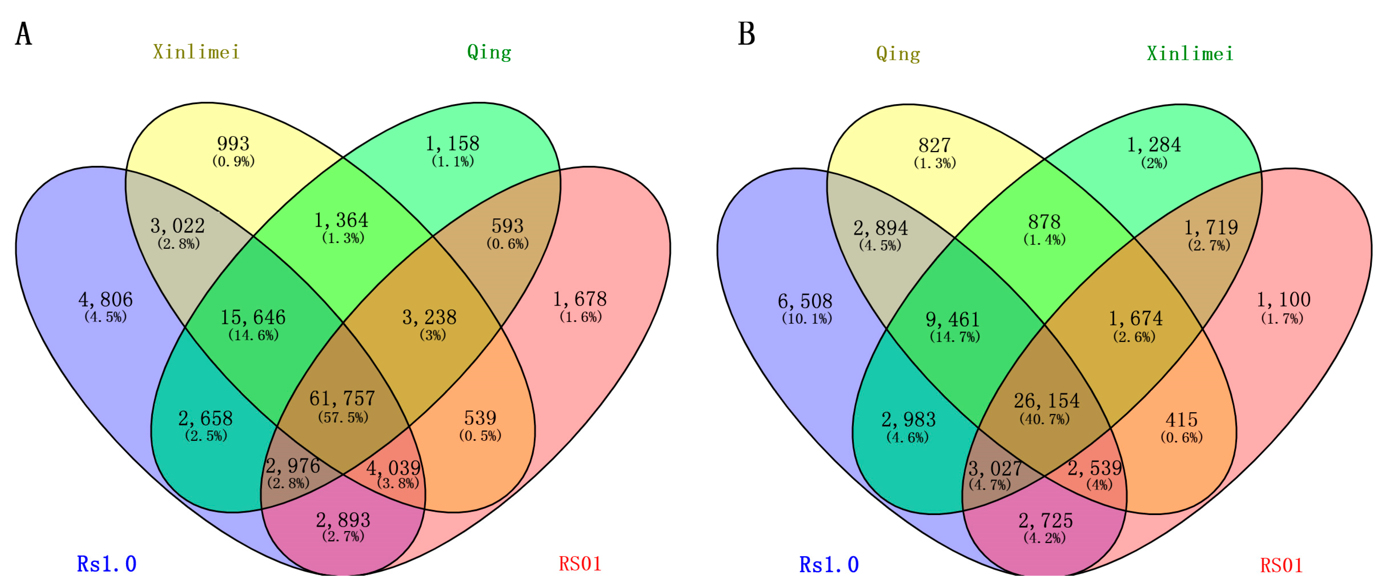 Ijms 25 13687 g002 Ijms 25 13687 g002