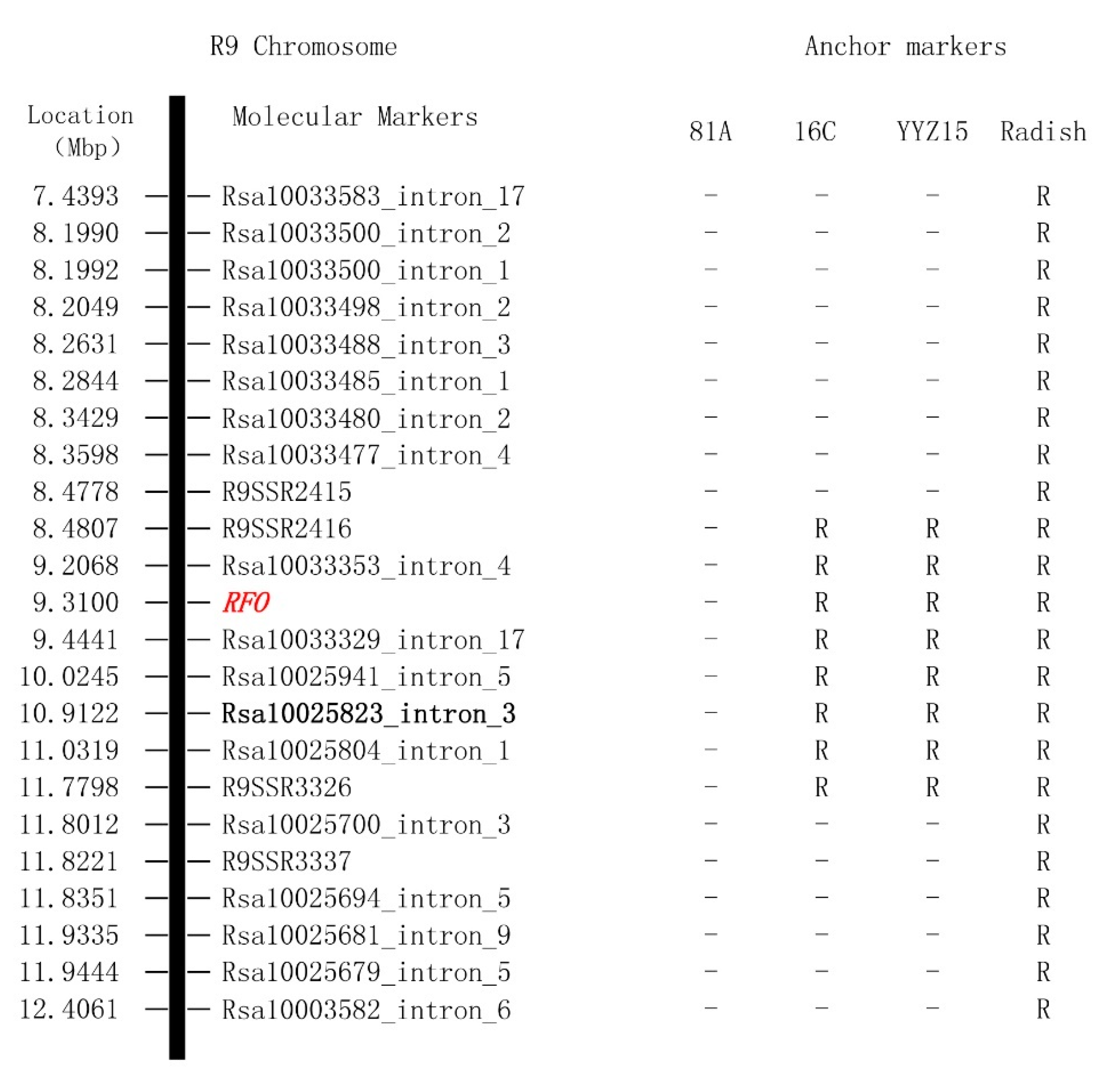 Ijms 25 13687 g007 Ijms 25 13687 g007