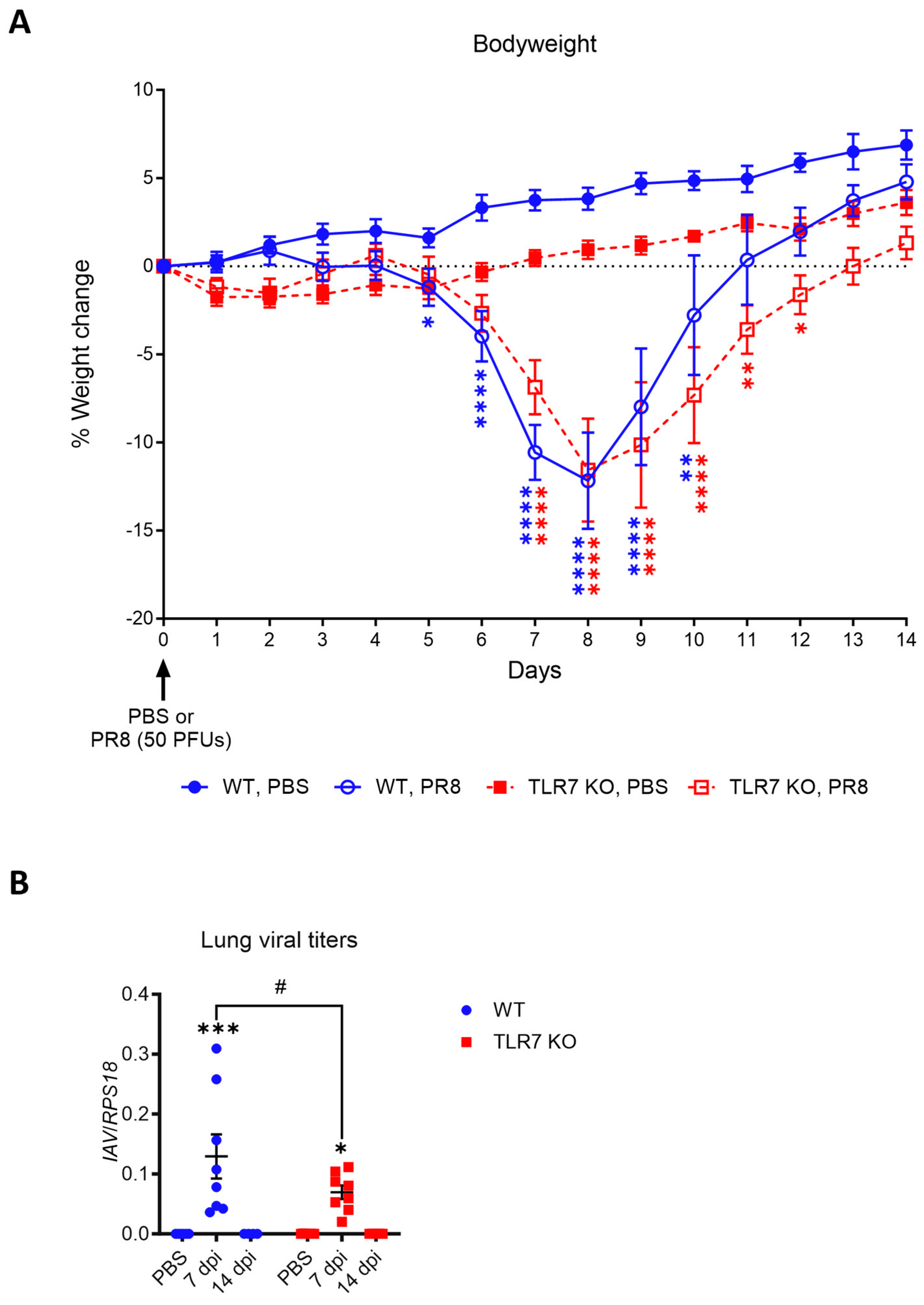 Ijms 25 13699 g001 Ijms 25 13699 g001