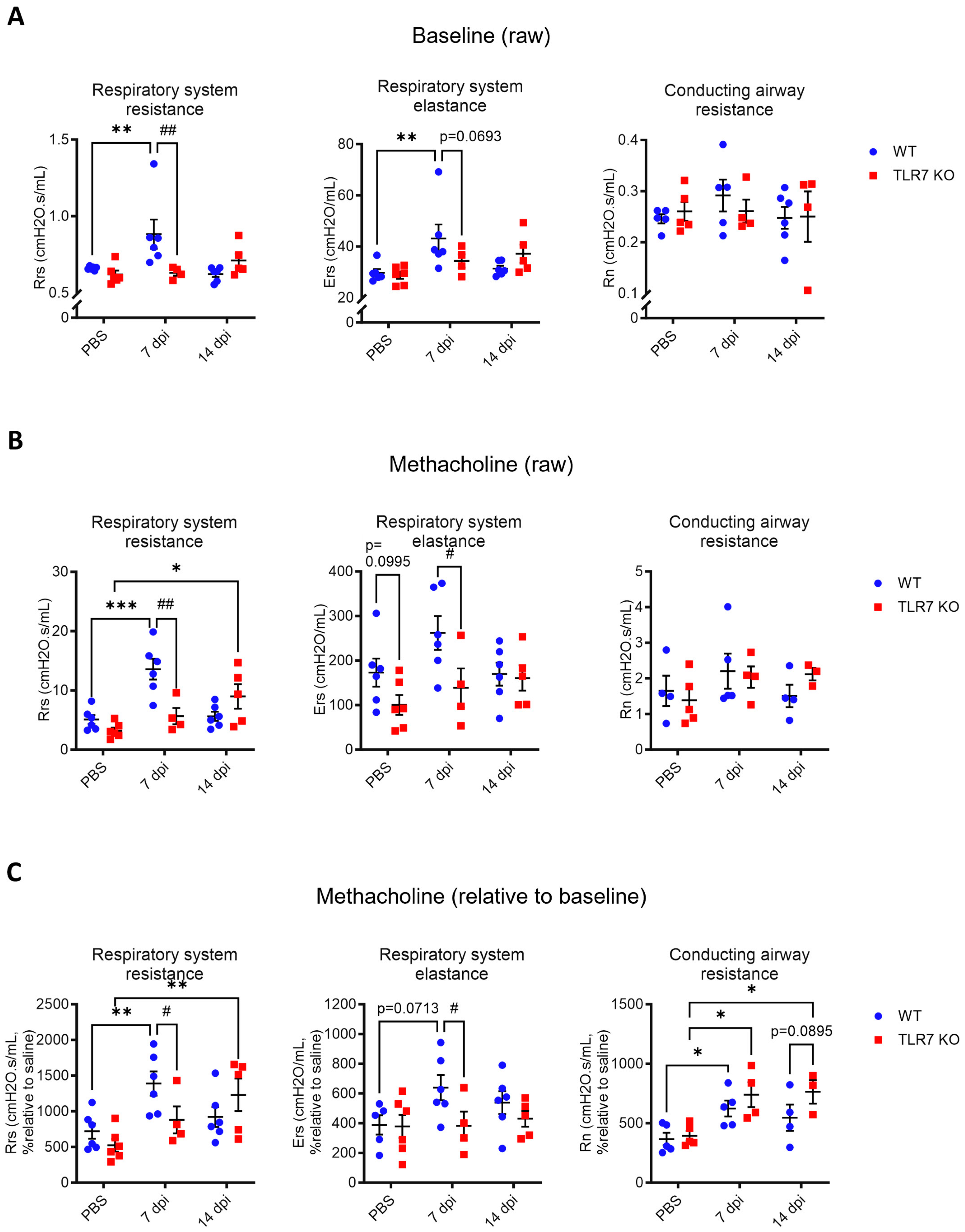 Ijms 25 13699 g002 Ijms 25 13699 g002