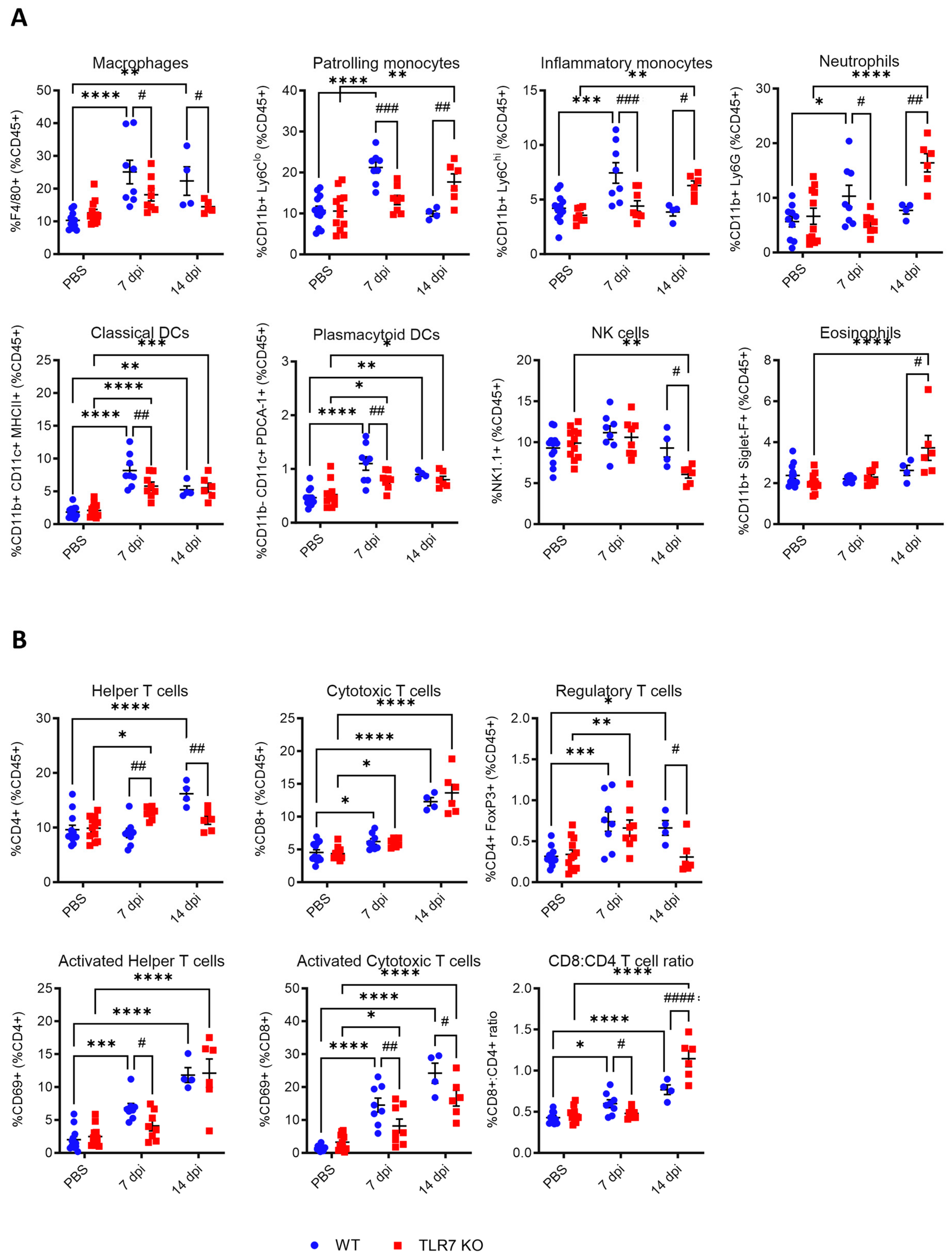 Ijms 25 13699 g004 Ijms 25 13699 g004