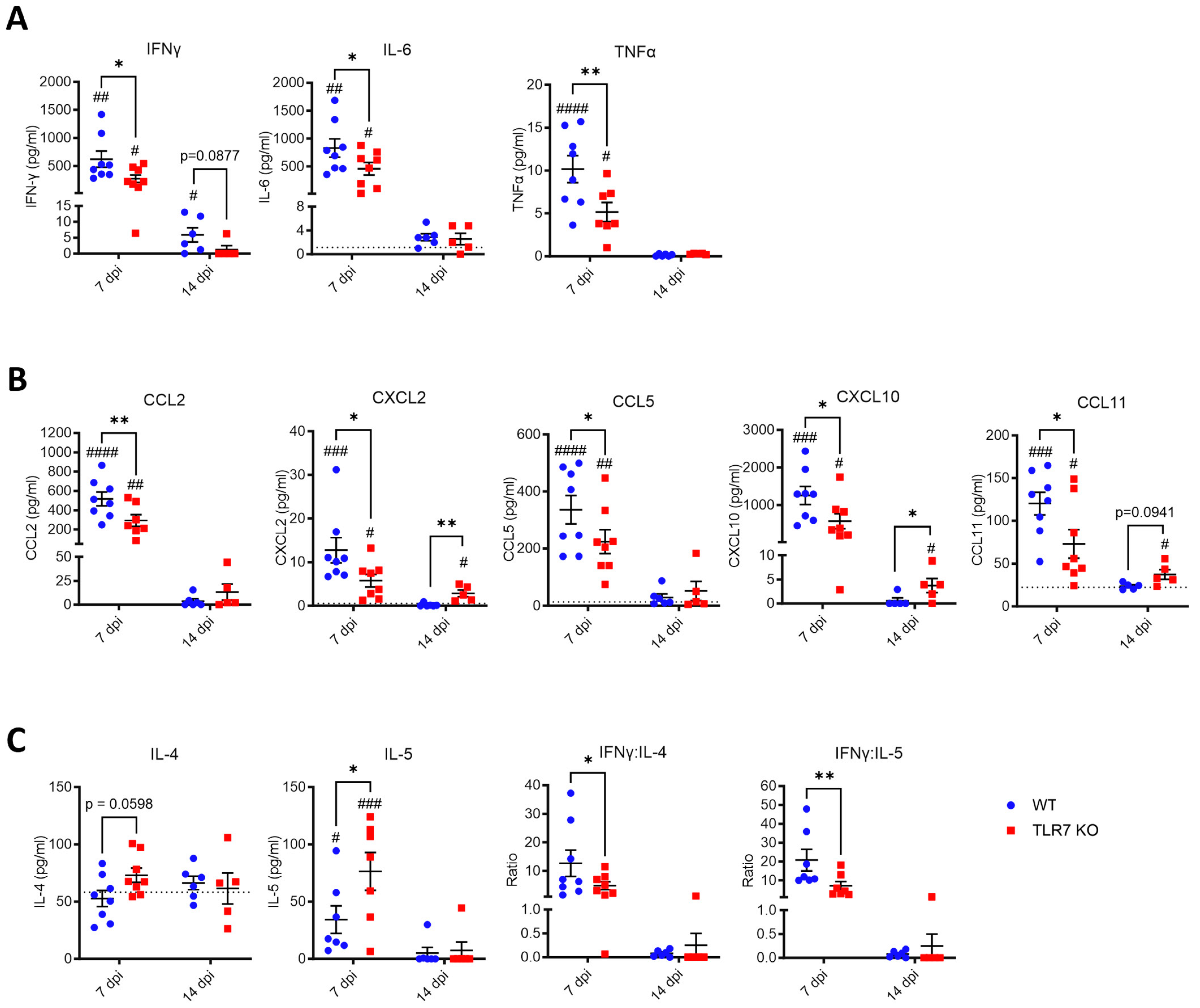 Ijms 25 13699 g006 Ijms 25 13699 g006