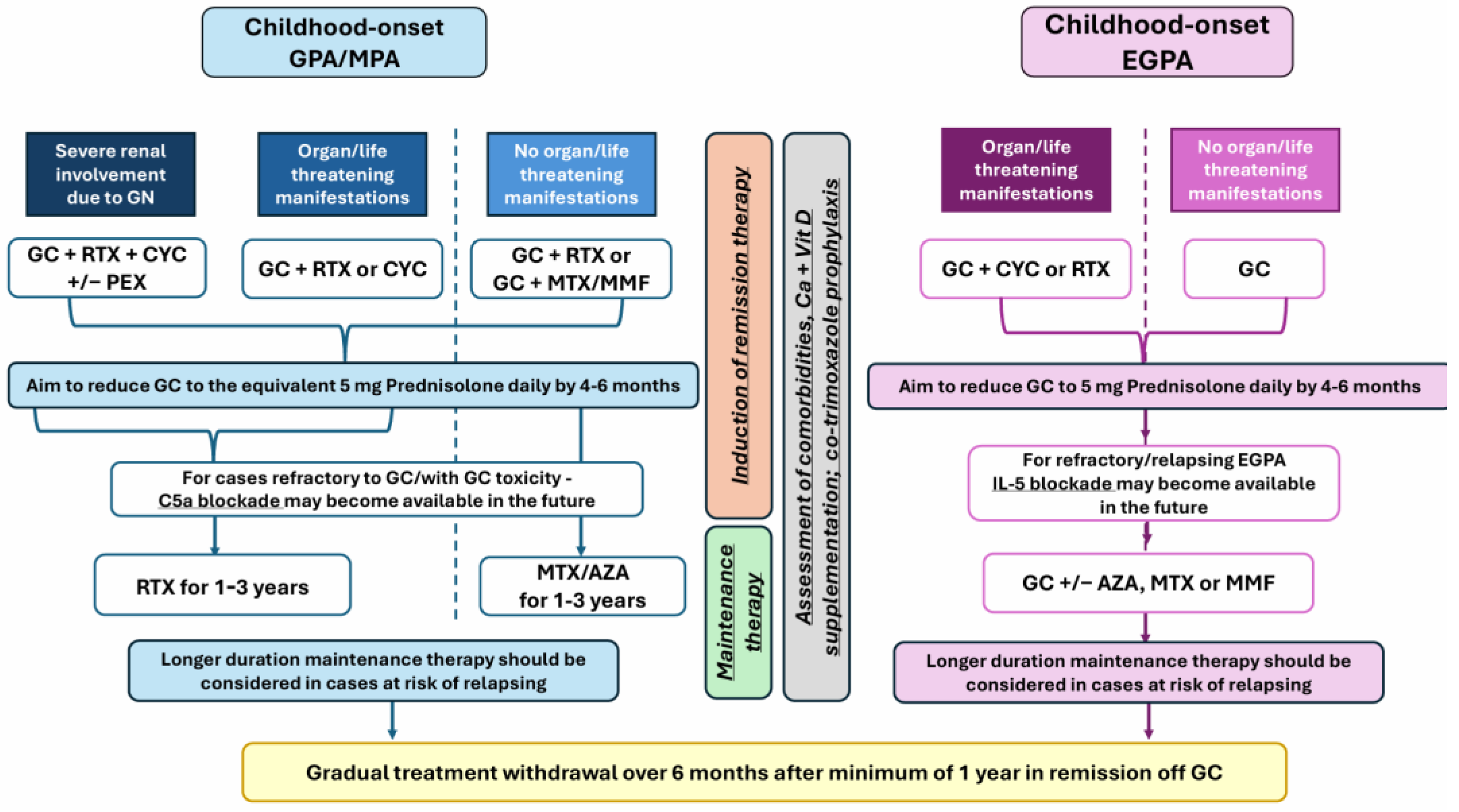 Ijms 25 13704 g001 Ijms 25 13704 g001
