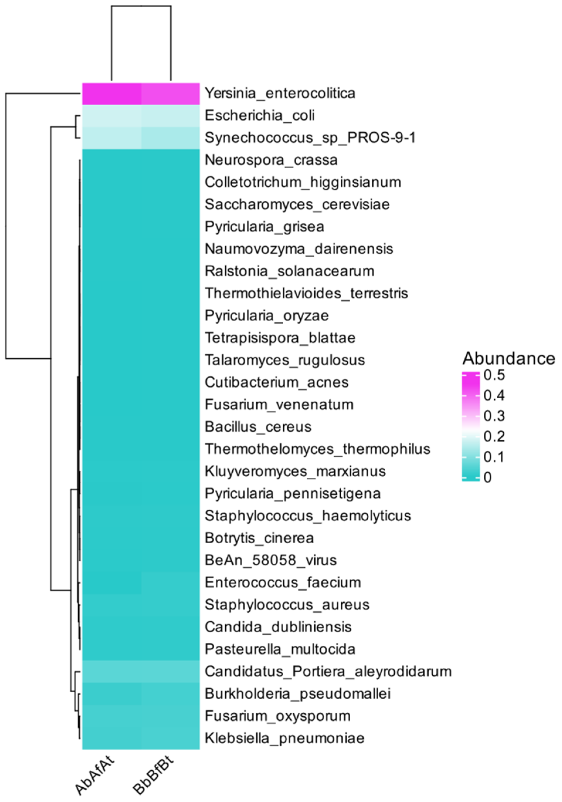 Ijms 26 00020 g002 Ijms 26 00020 g002