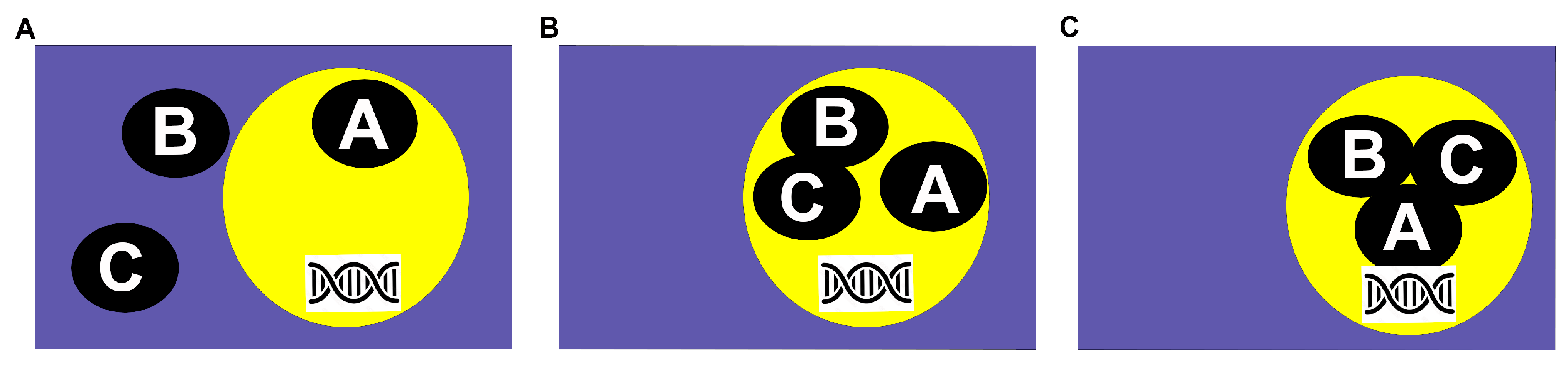 Ijms 26 00038 g001 Ijms 26 00038 g001