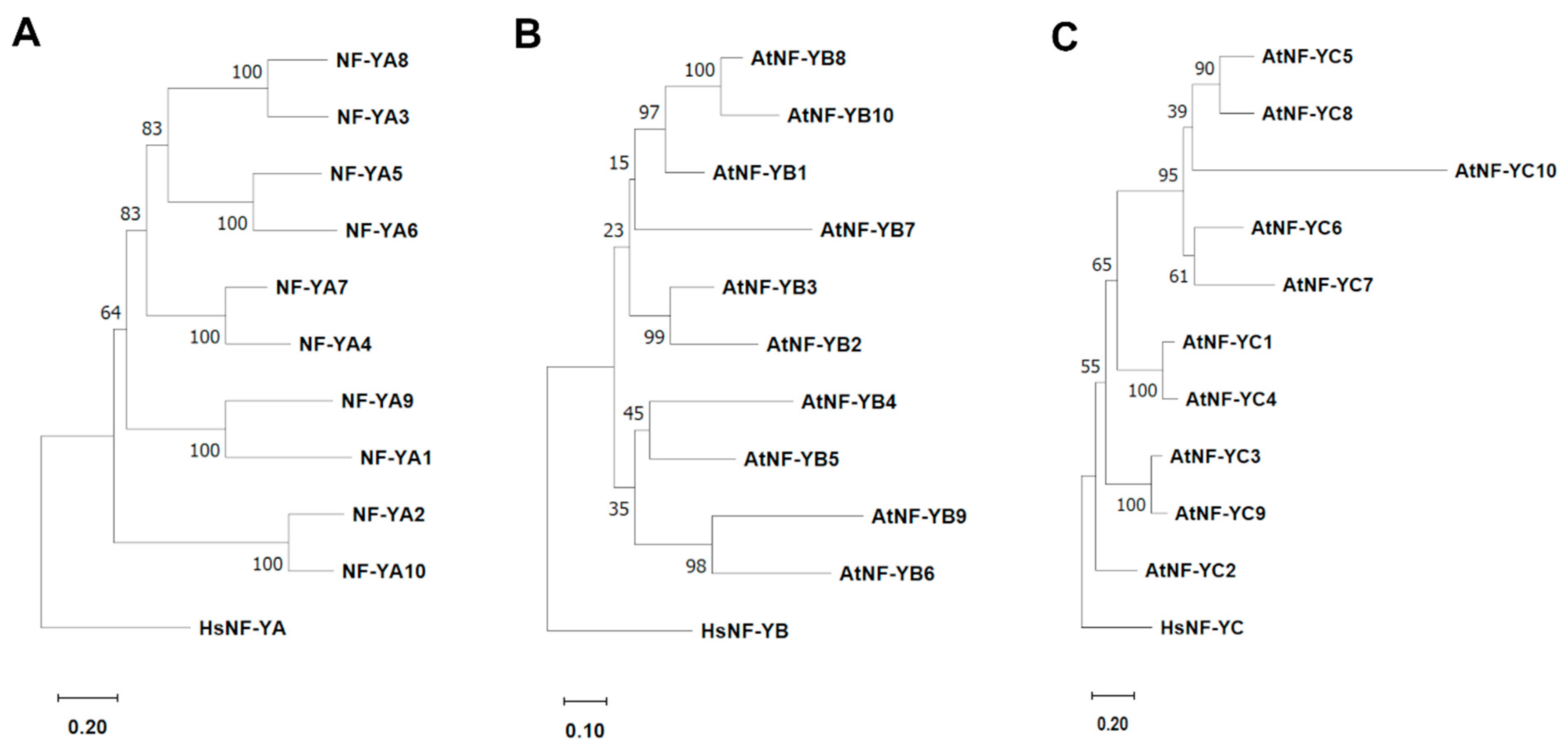Ijms 26 00038 g002 Ijms 26 00038 g002