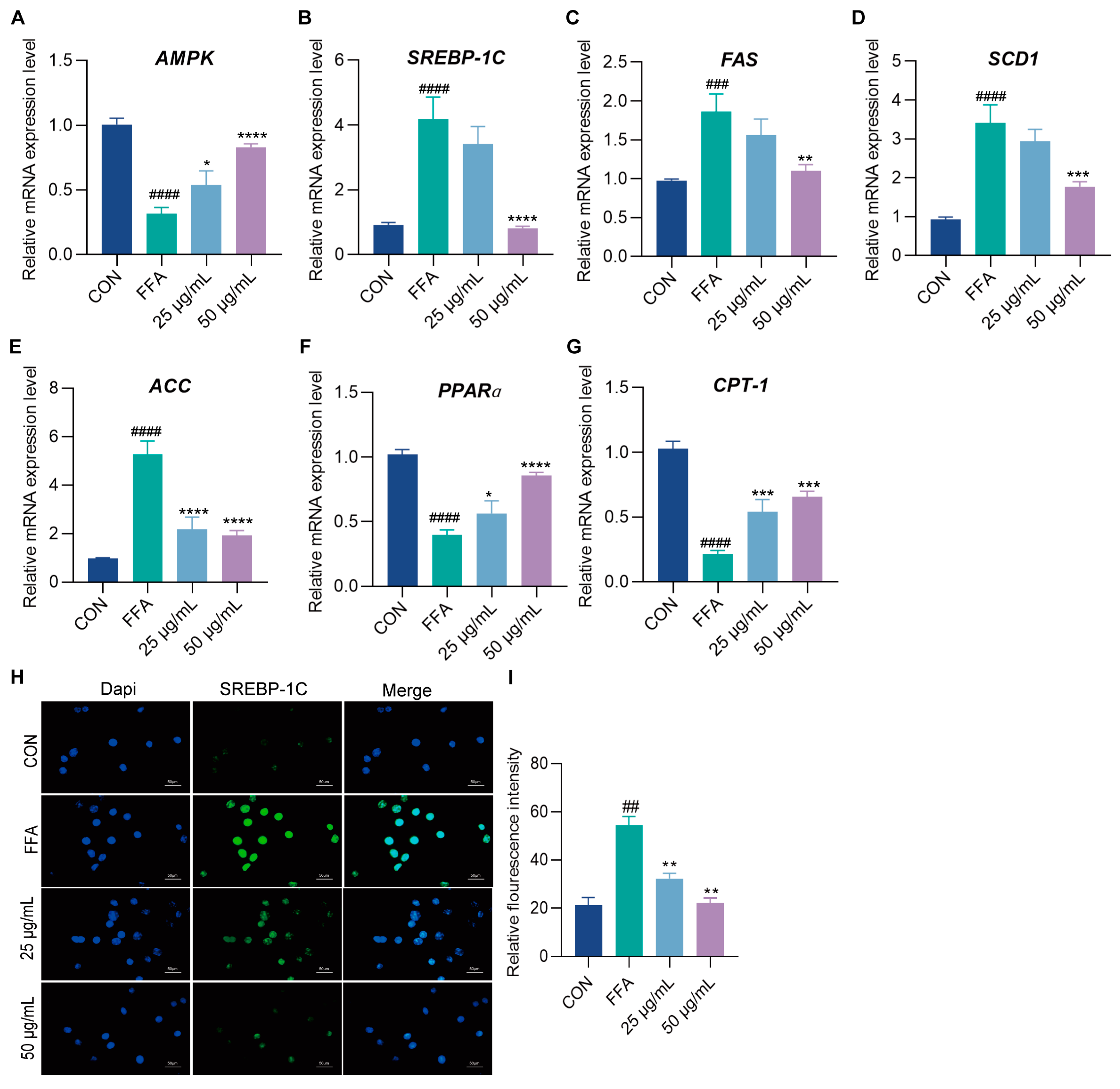 Ijms 26 00050 g003 Ijms 26 00050 g003