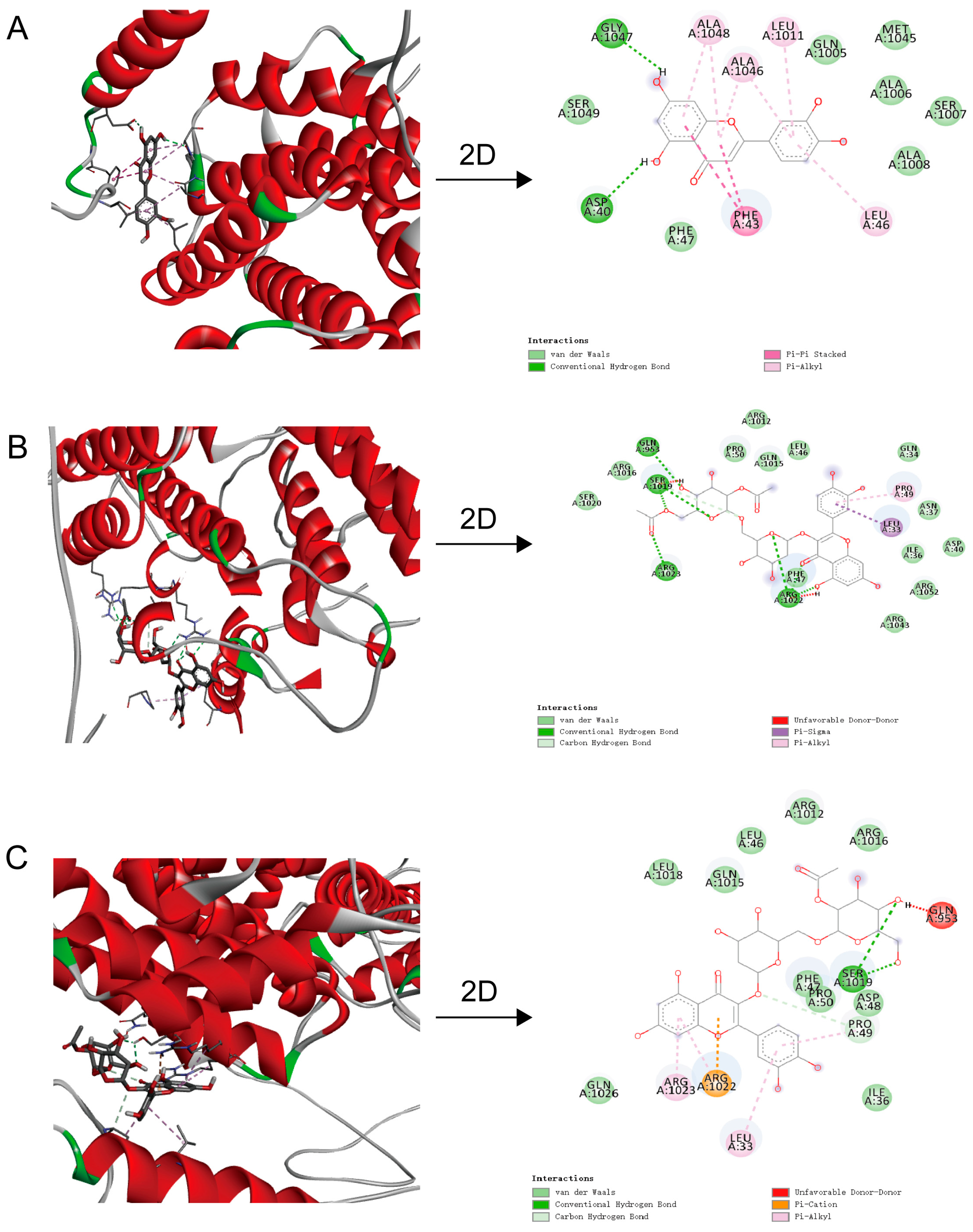 Ijms 26 00050 g006 Ijms 26 00050 g006