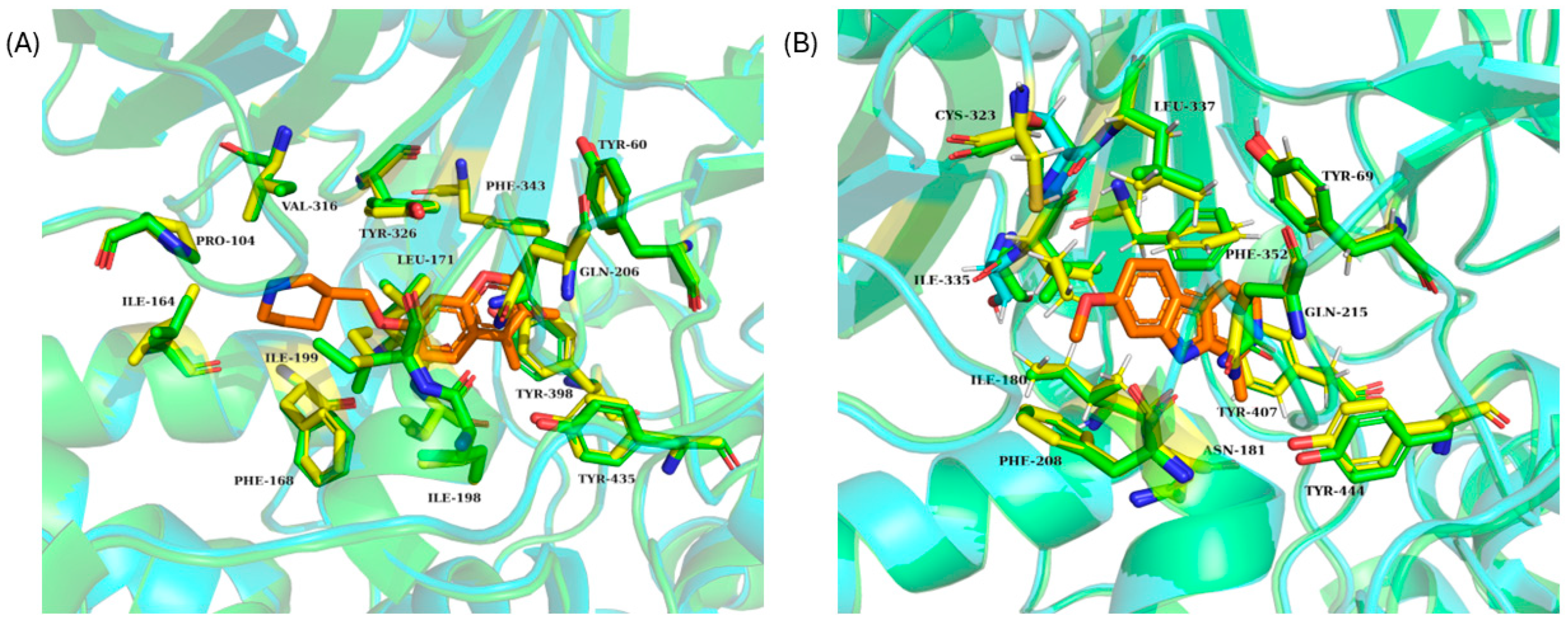 Ijms 26 00097 g002 Ijms 26 00097 g002