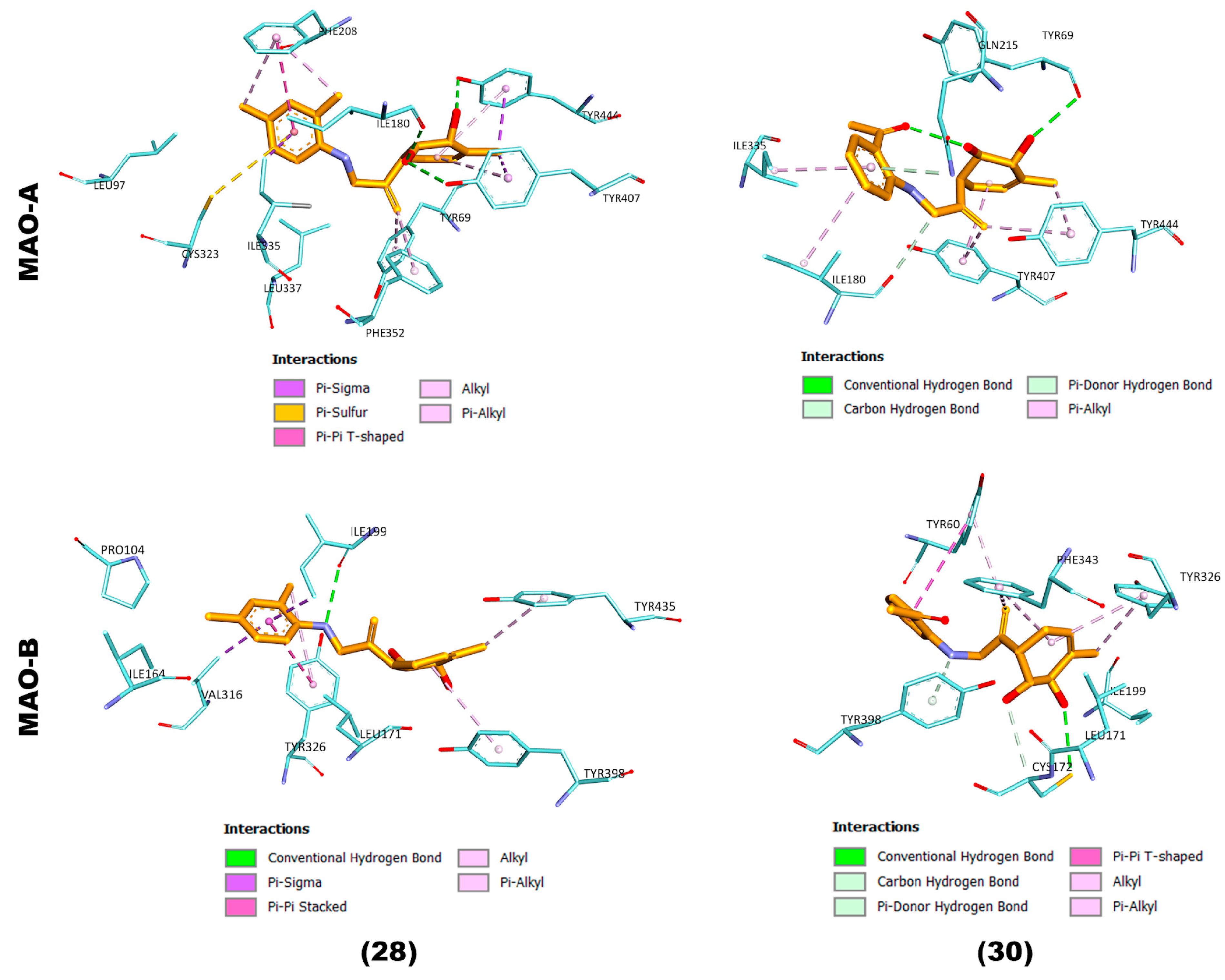 Ijms 26 00097 g004 Ijms 26 00097 g004