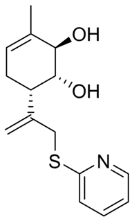 Ijms 26 00097 i009 Ijms 26 00097 i009