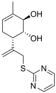 Ijms 26 00097 i010 Ijms 26 00097 i010