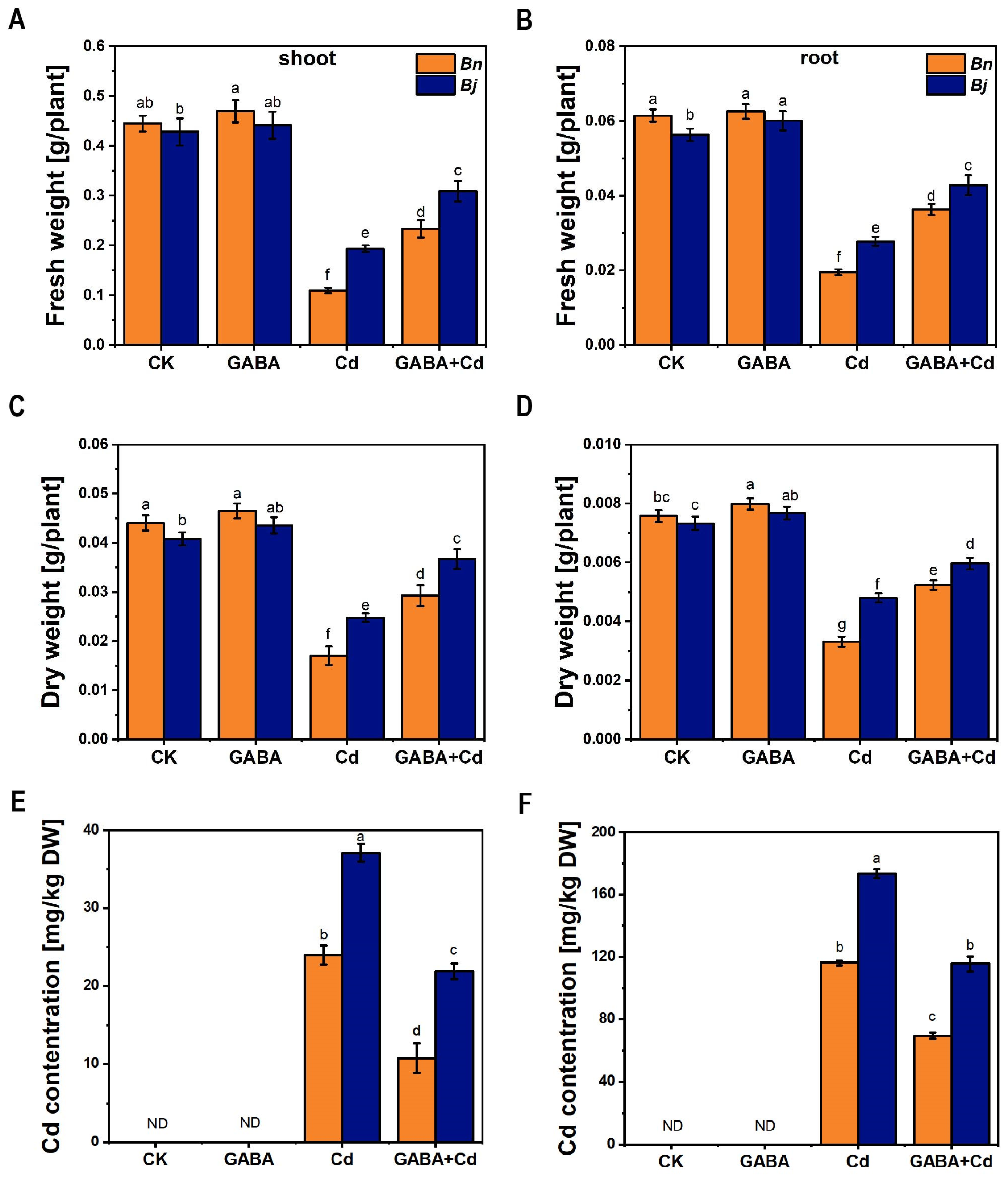 Ijms 26 00129 g001 Ijms 26 00129 g001