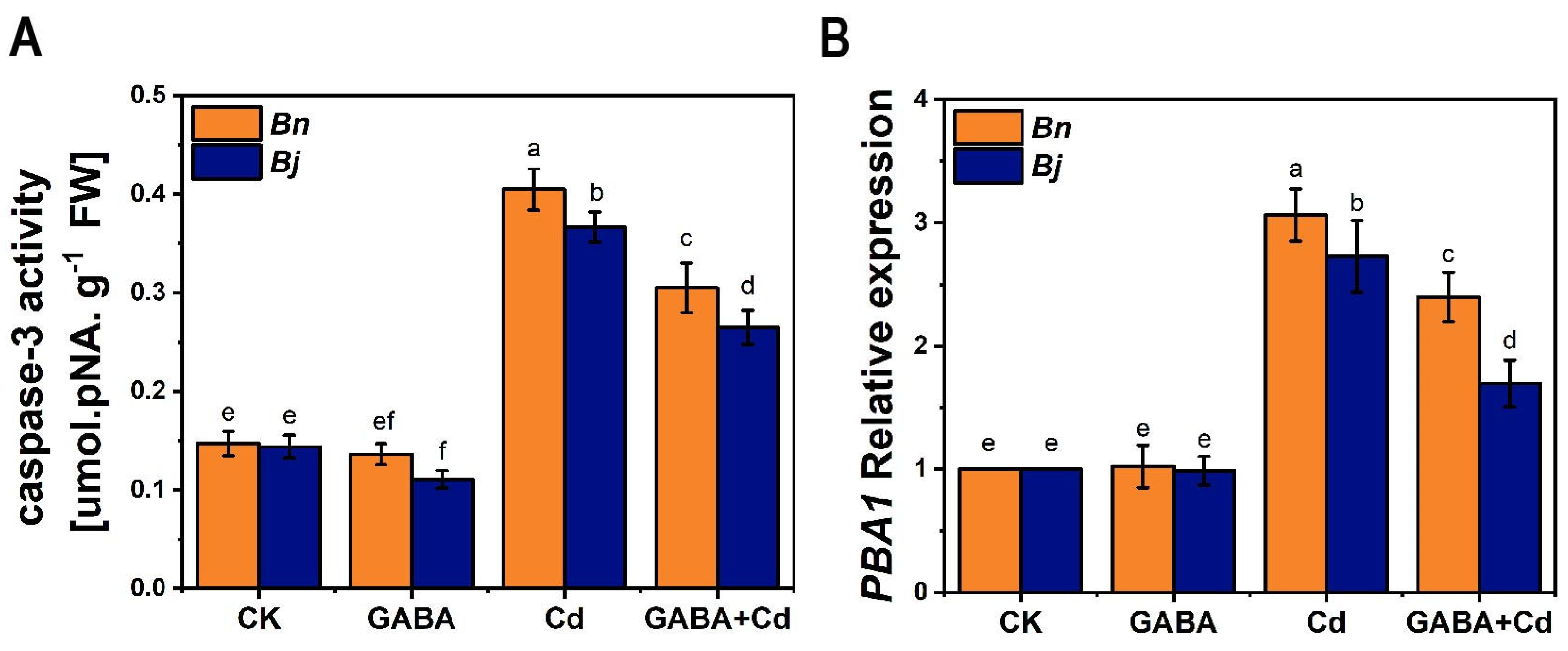 Ijms 26 00129 g006 Ijms 26 00129 g006