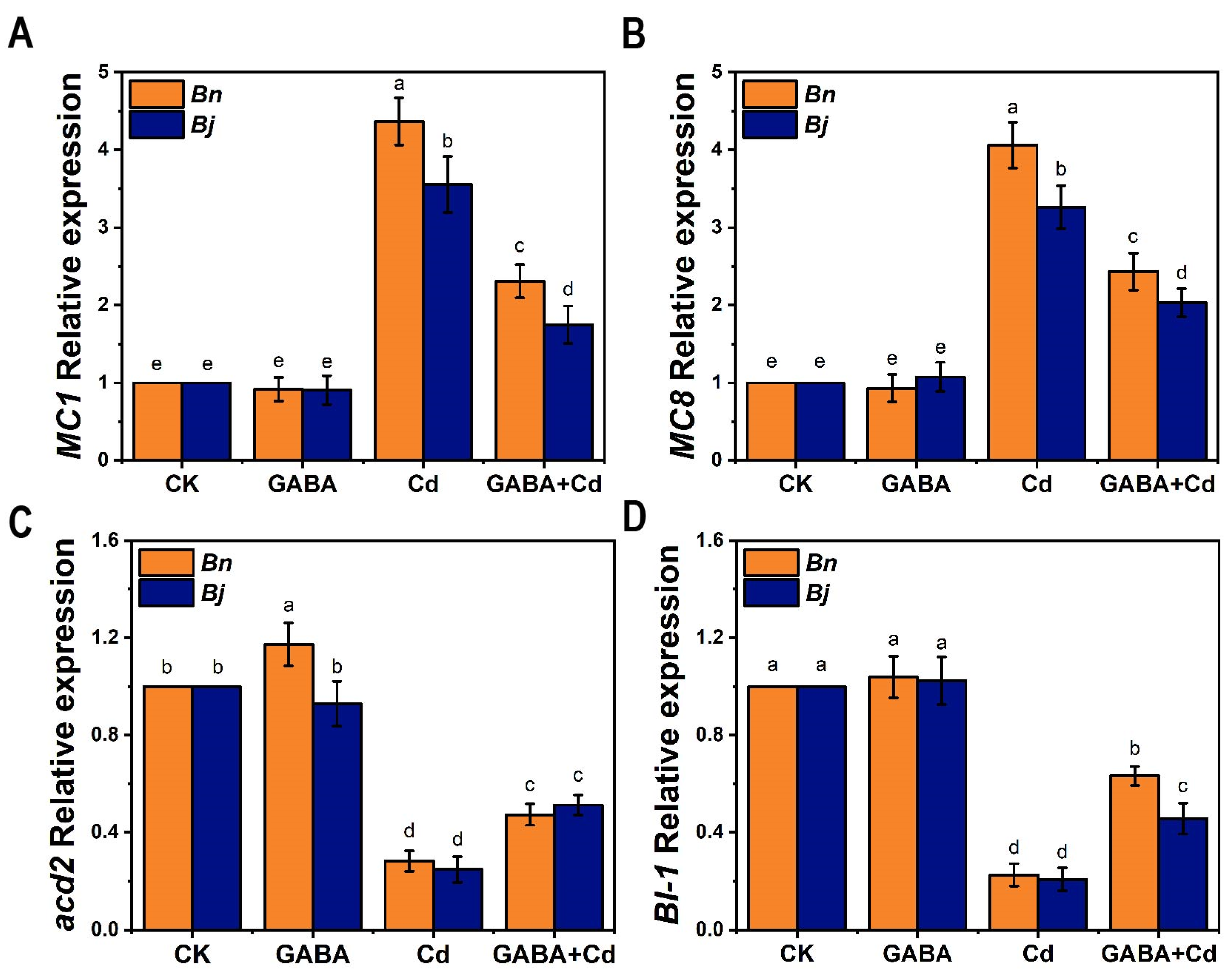 Ijms 26 00129 g007 Ijms 26 00129 g007