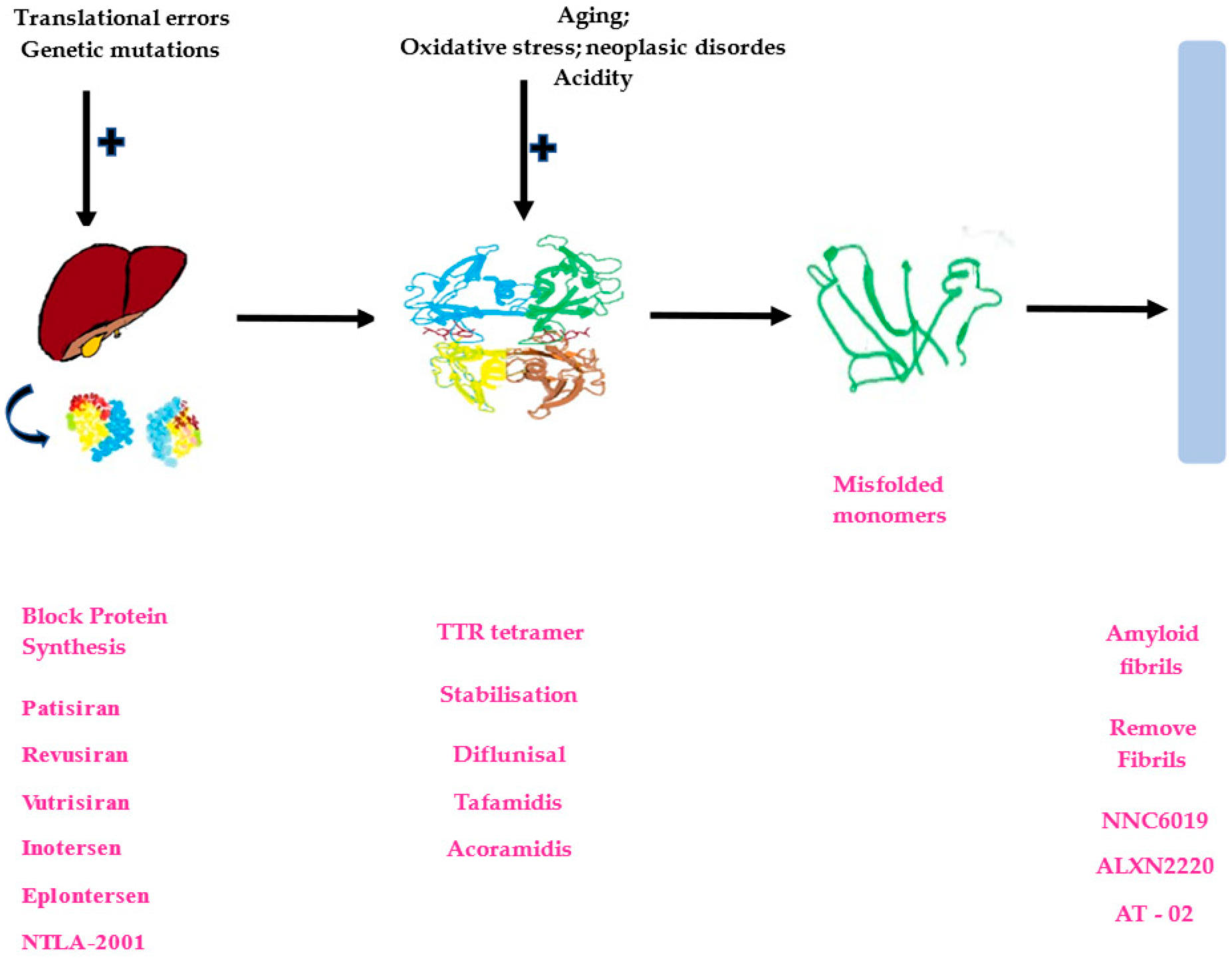 Ijms 26 00146 g001 Ijms 26 00146 g001
