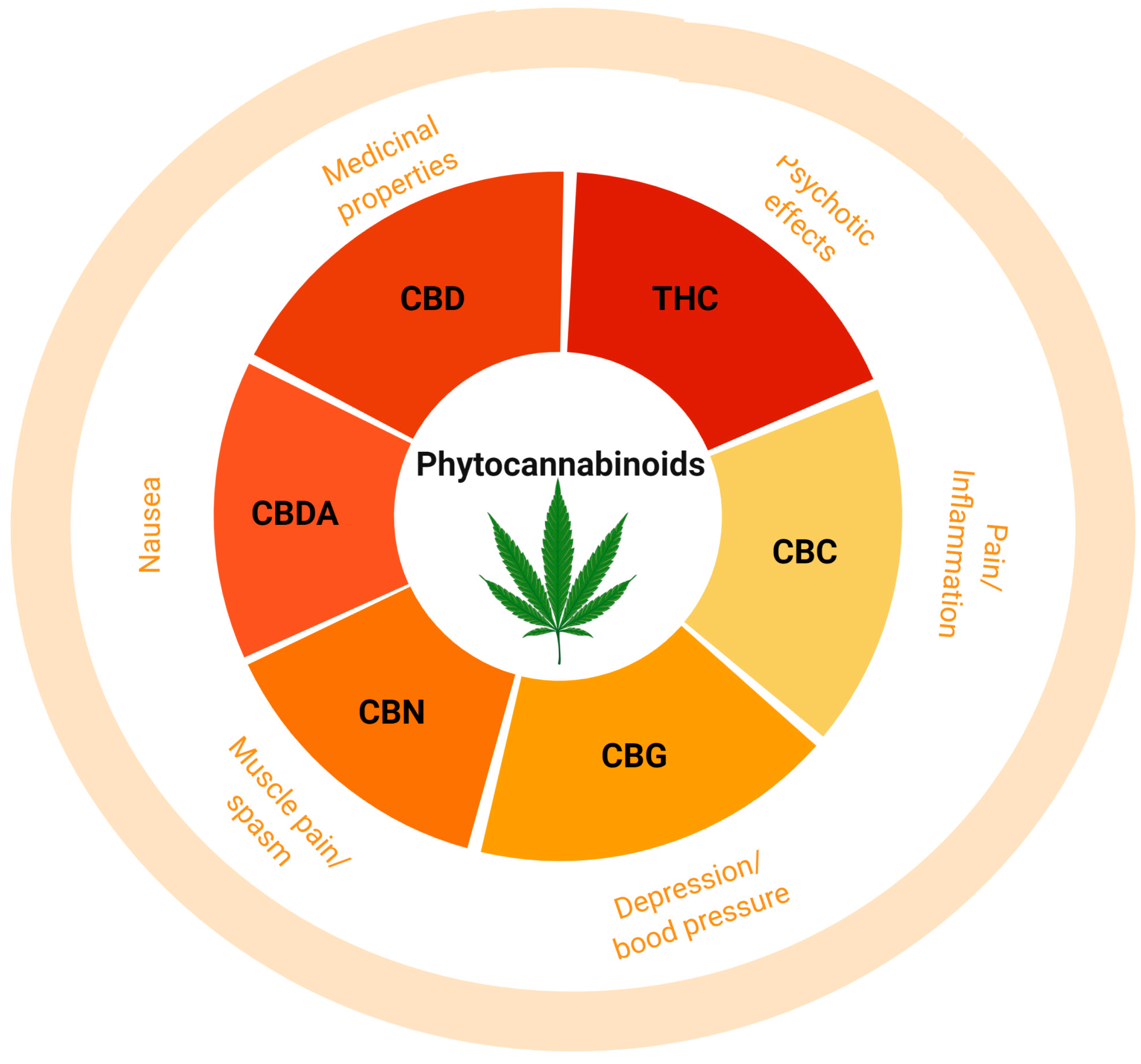 Ijms 26 00152 g004 Ijms 26 00152 g004