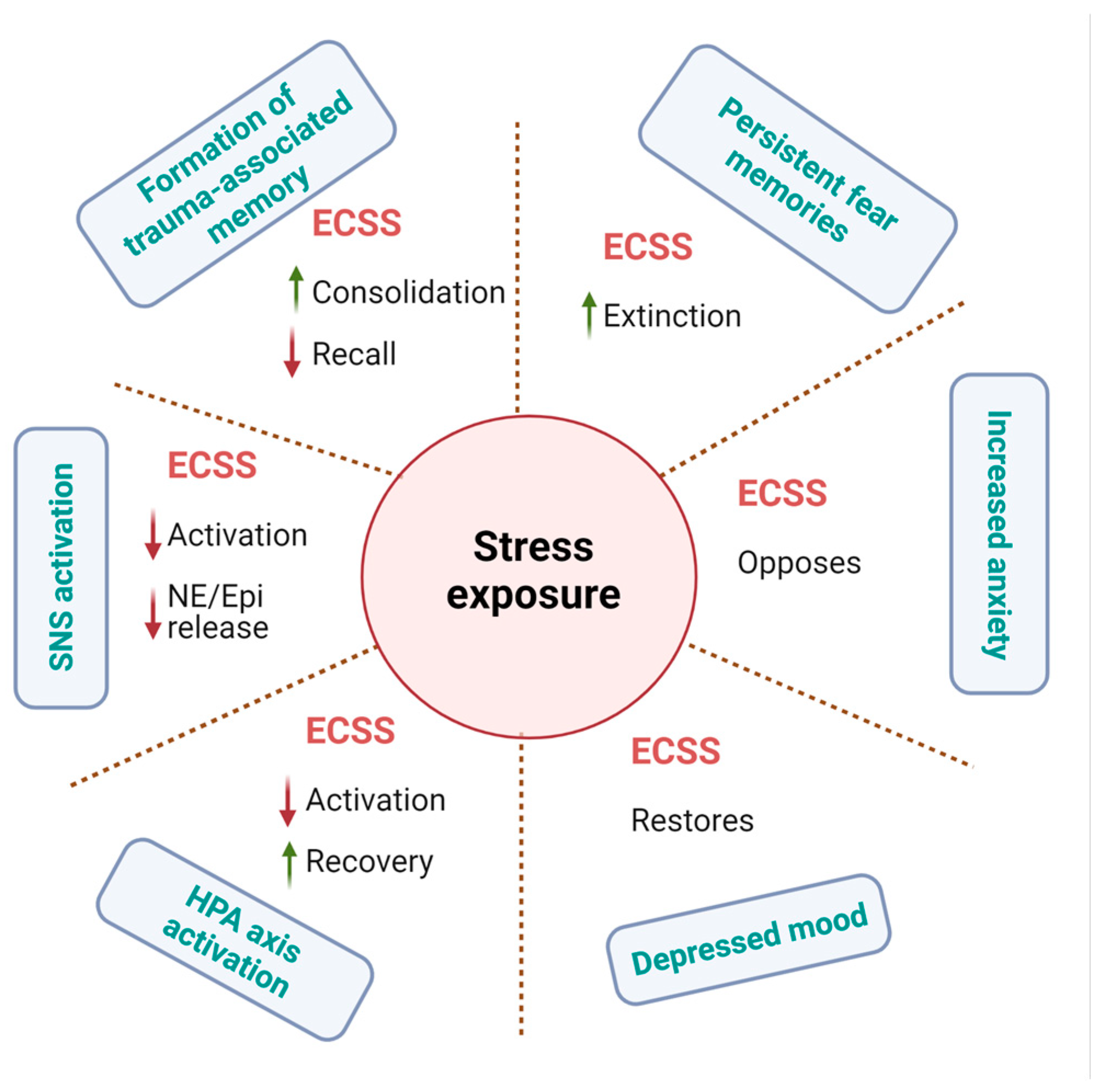 Ijms 26 00152 g009 Ijms 26 00152 g009