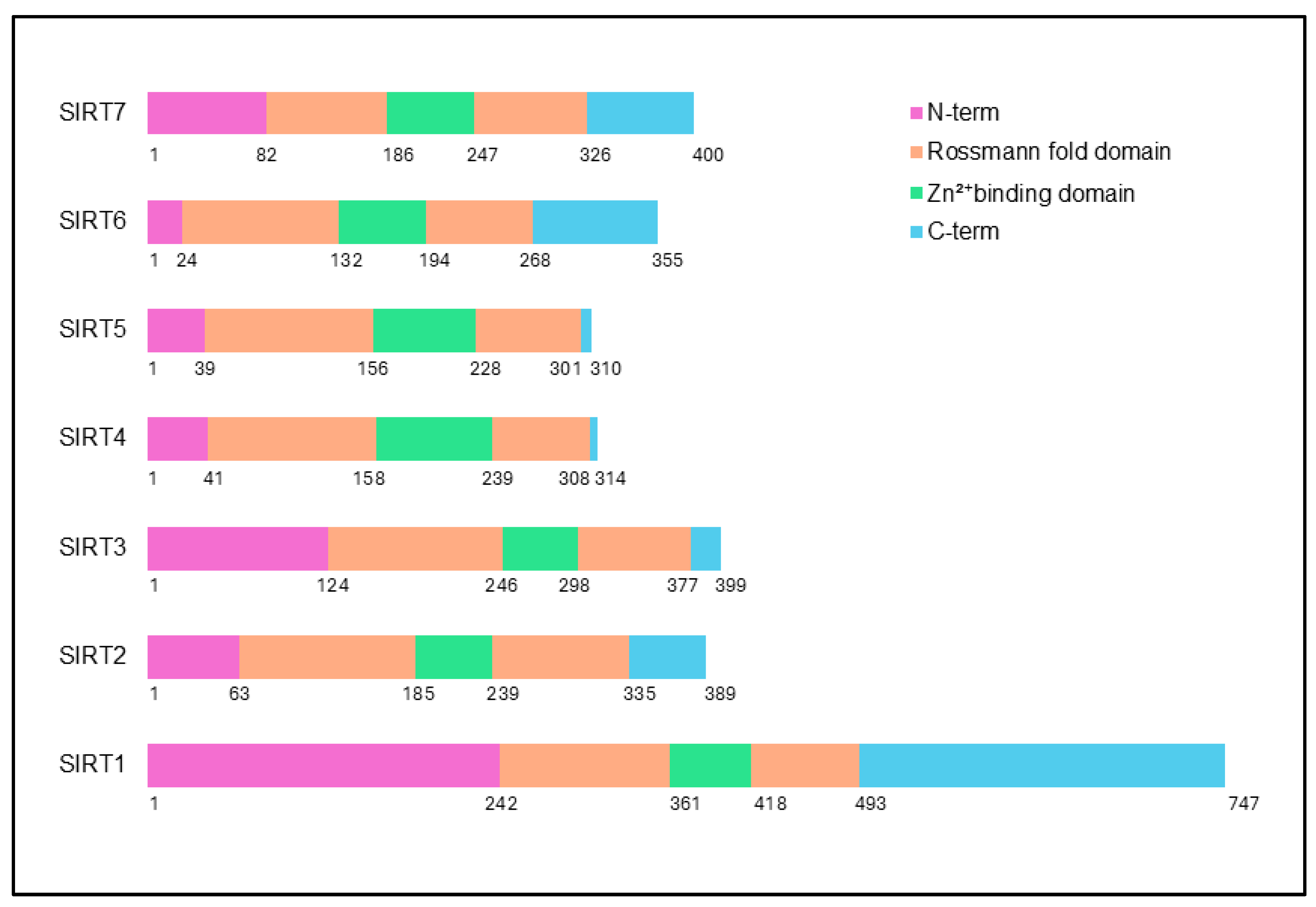 Ijms 26 00183 g001 Ijms 26 00183 g001