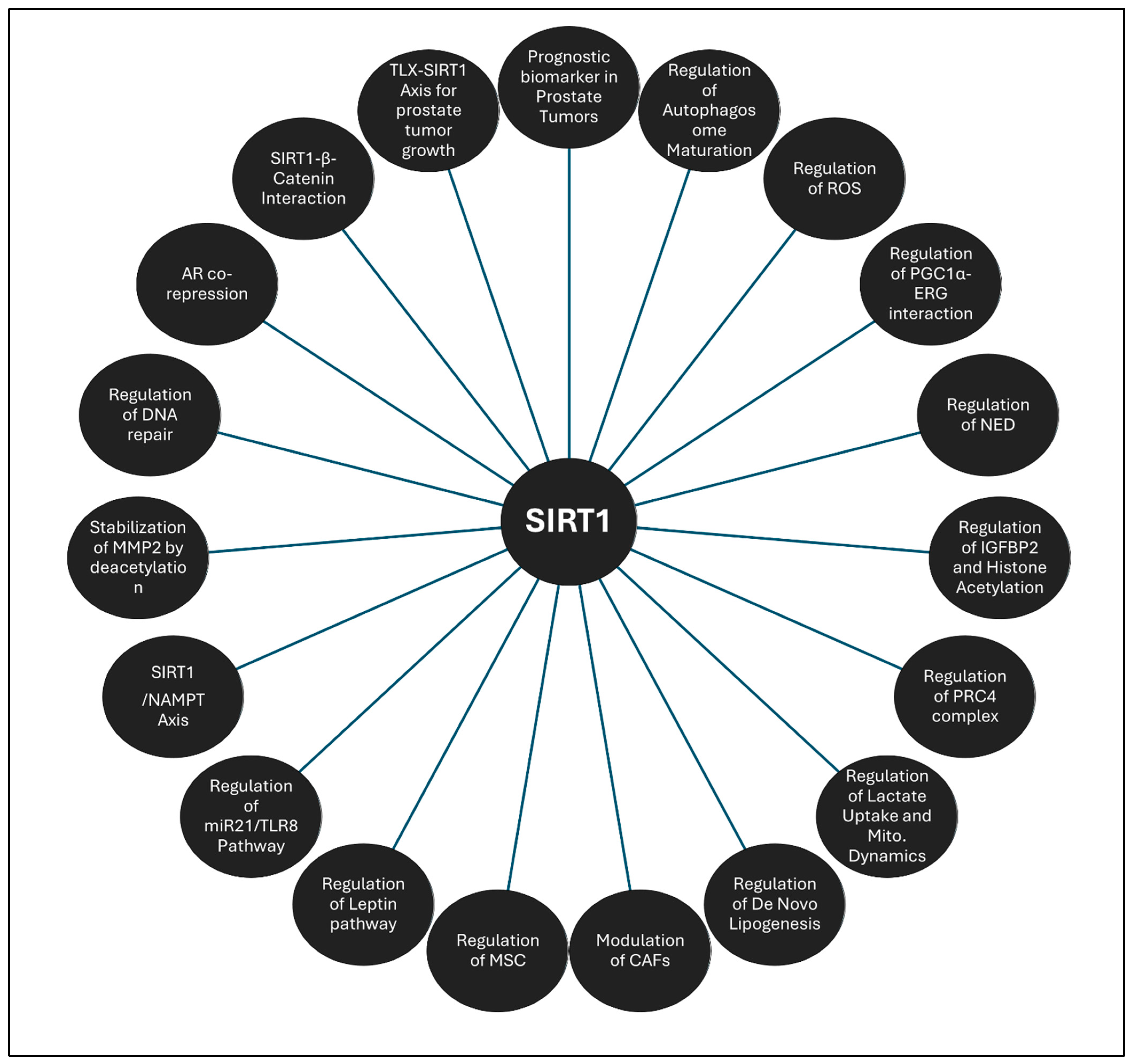 Ijms 26 00183 g003 Ijms 26 00183 g003