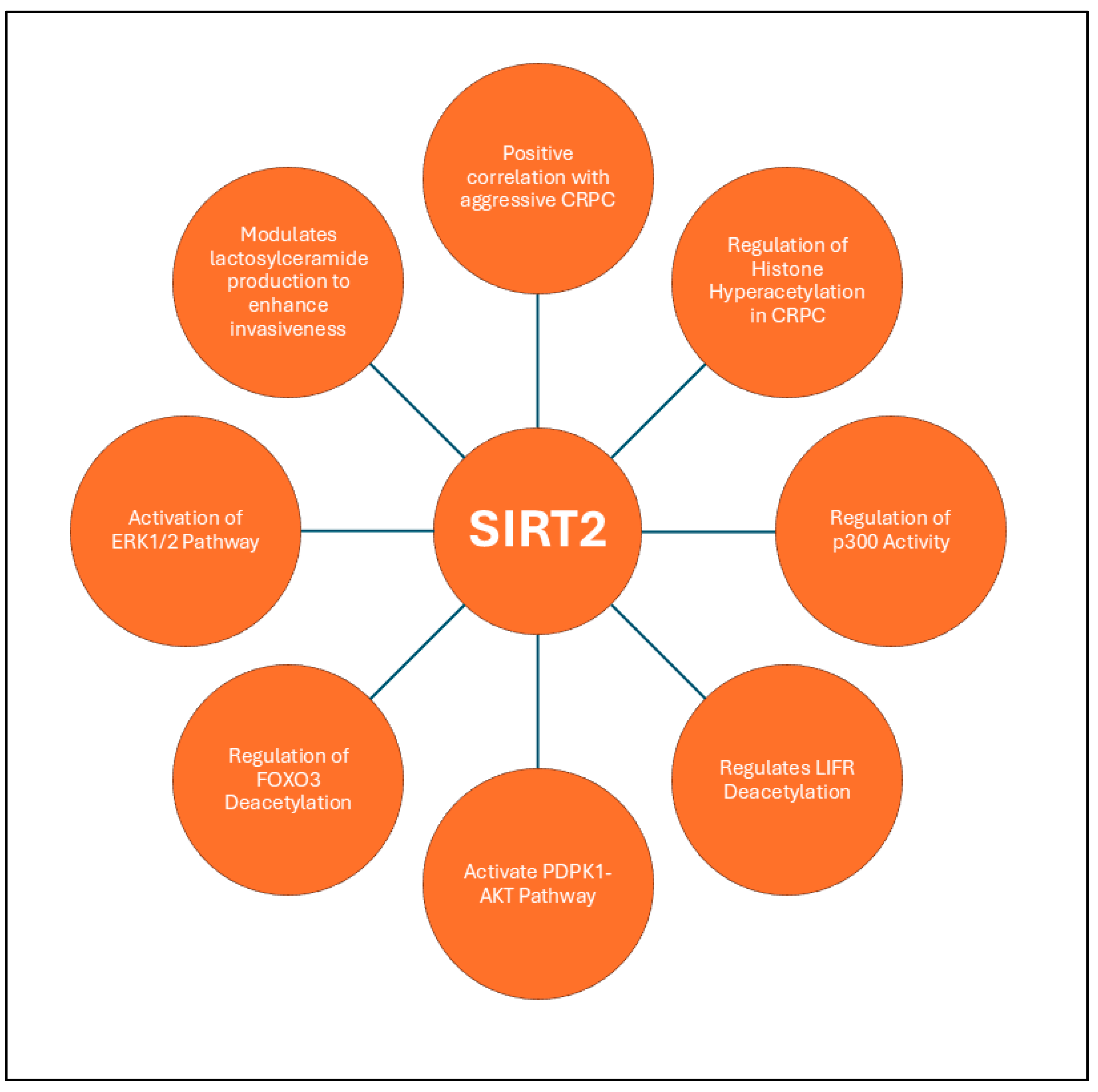 Ijms 26 00183 g004 Ijms 26 00183 g004