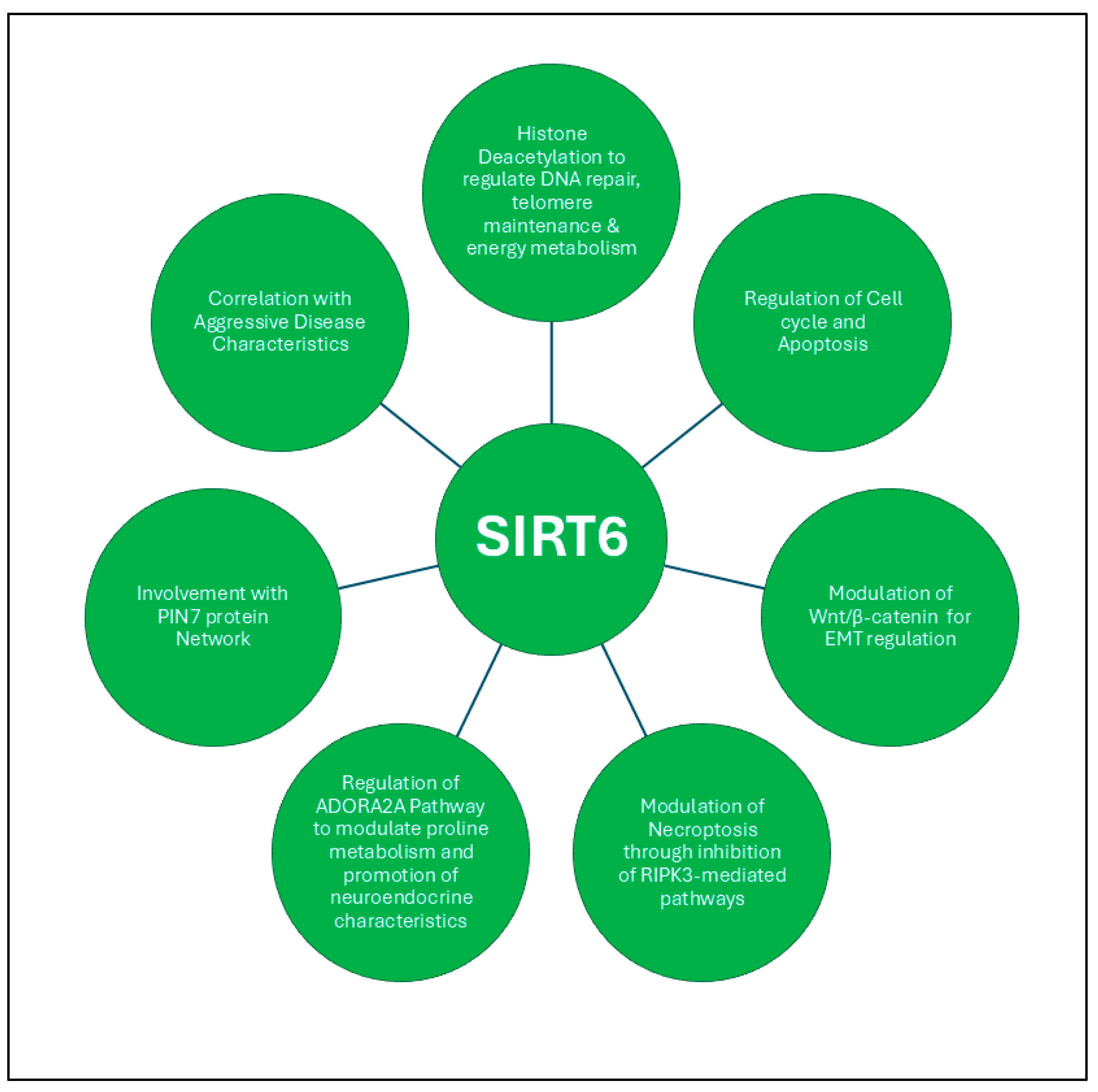 Ijms 26 00183 g005 Ijms 26 00183 g005