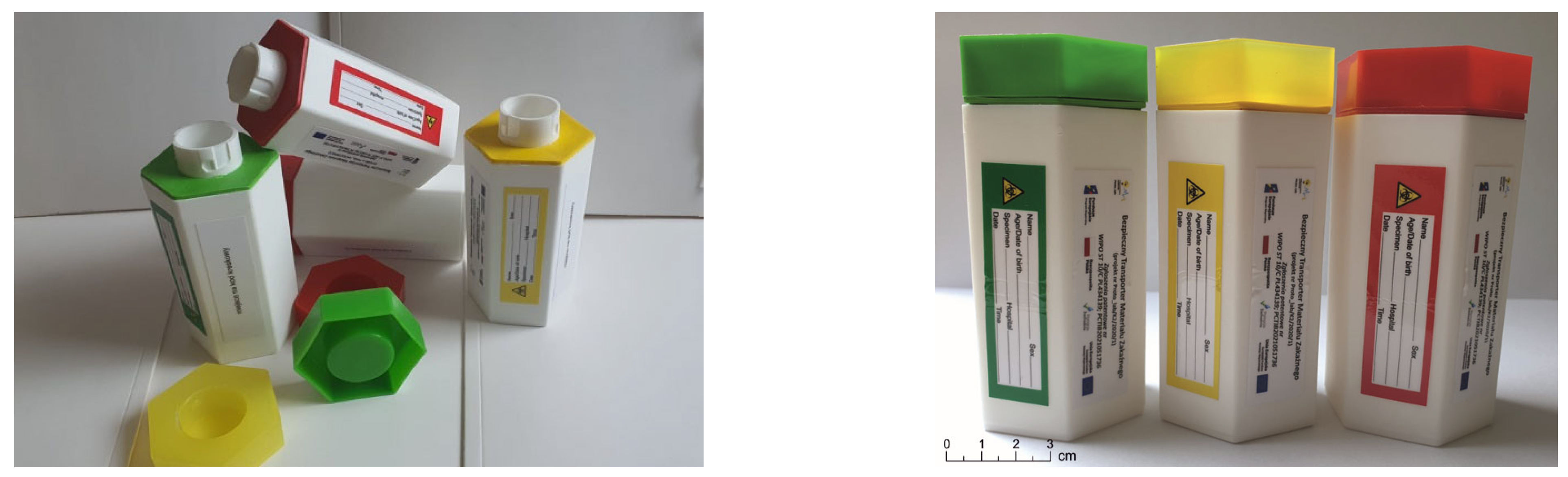 Ijms 26 00228 g005 Ijms 26 00228 g005