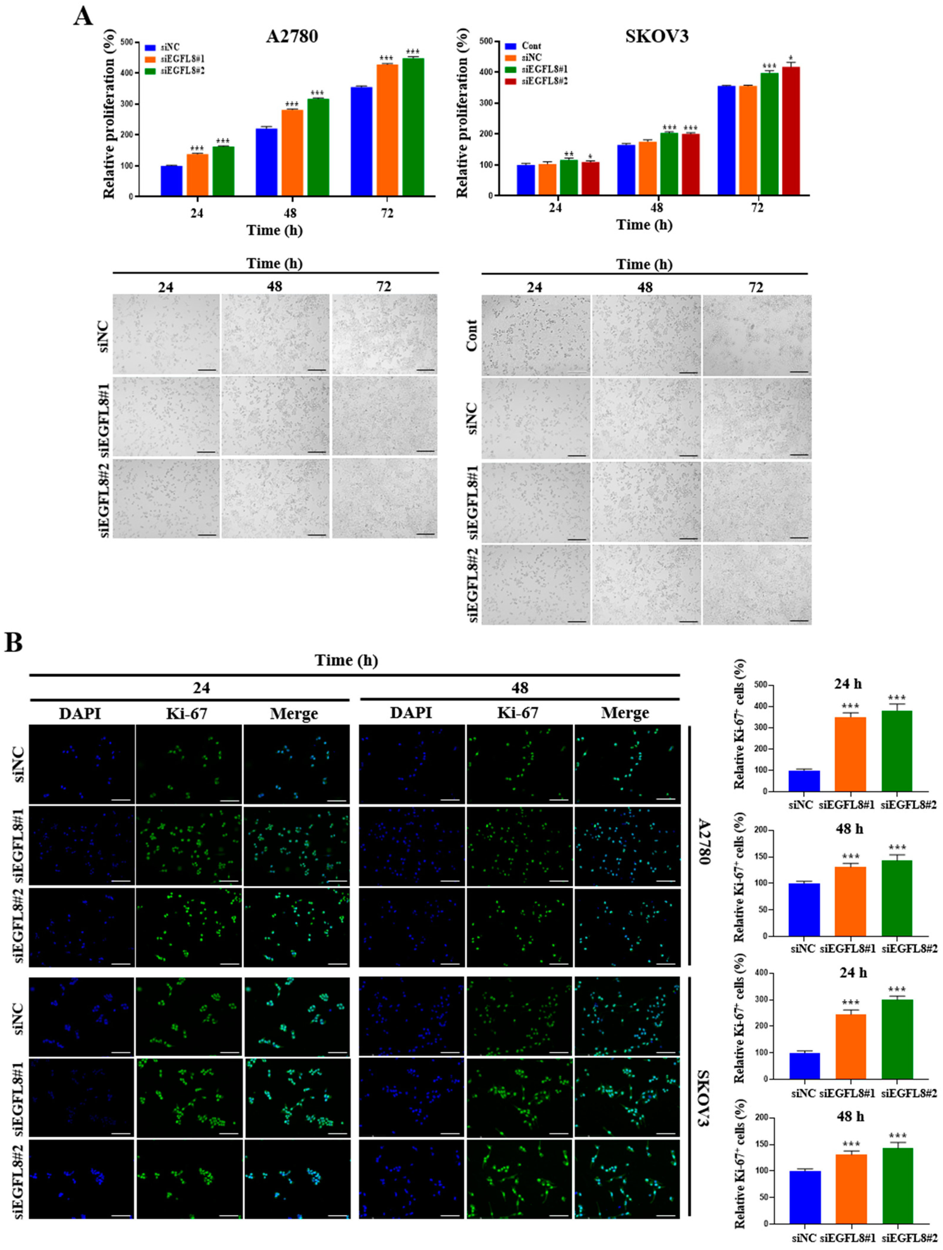 Ijms 26 00274 g003 Ijms 26 00274 g003