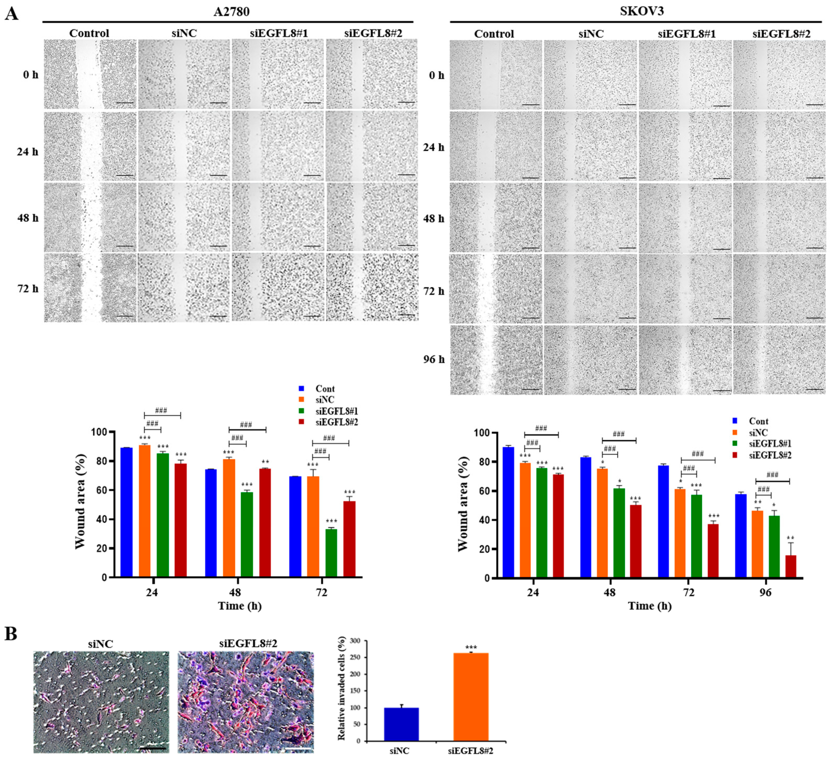 Ijms 26 00274 g005 Ijms 26 00274 g005