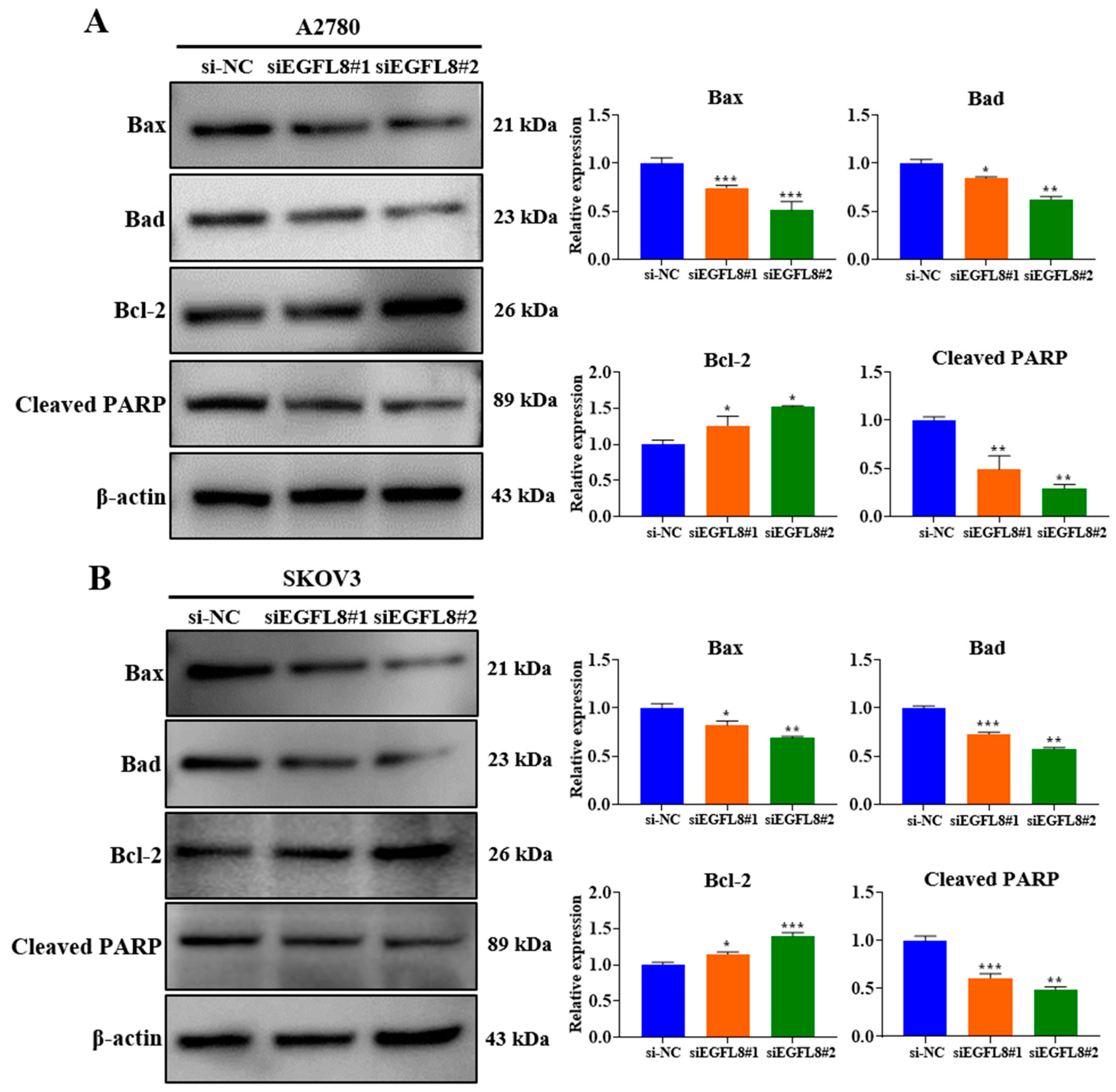 Ijms 26 00274 g006 Ijms 26 00274 g006