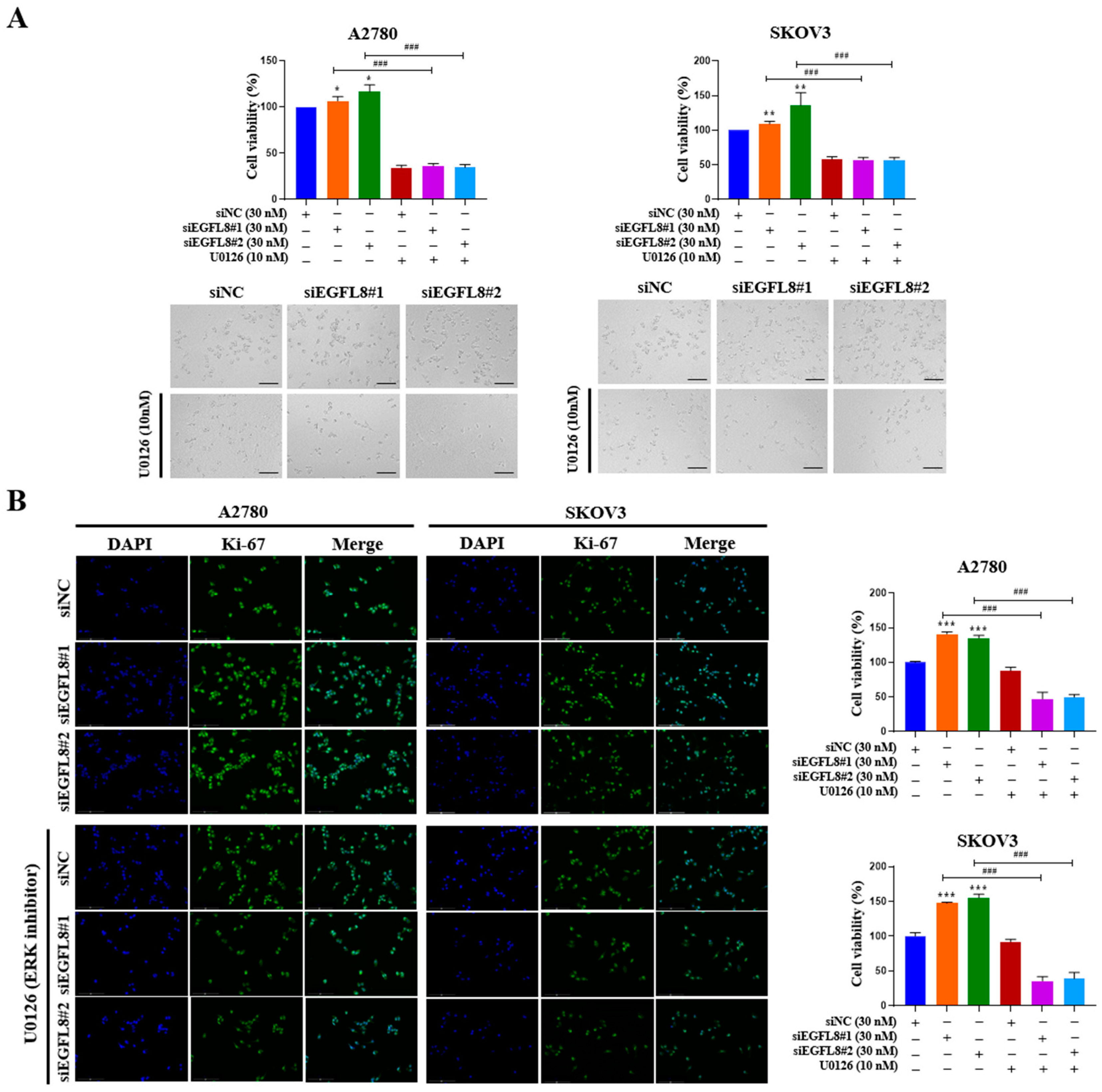 Ijms 26 00274 g012 Ijms 26 00274 g012