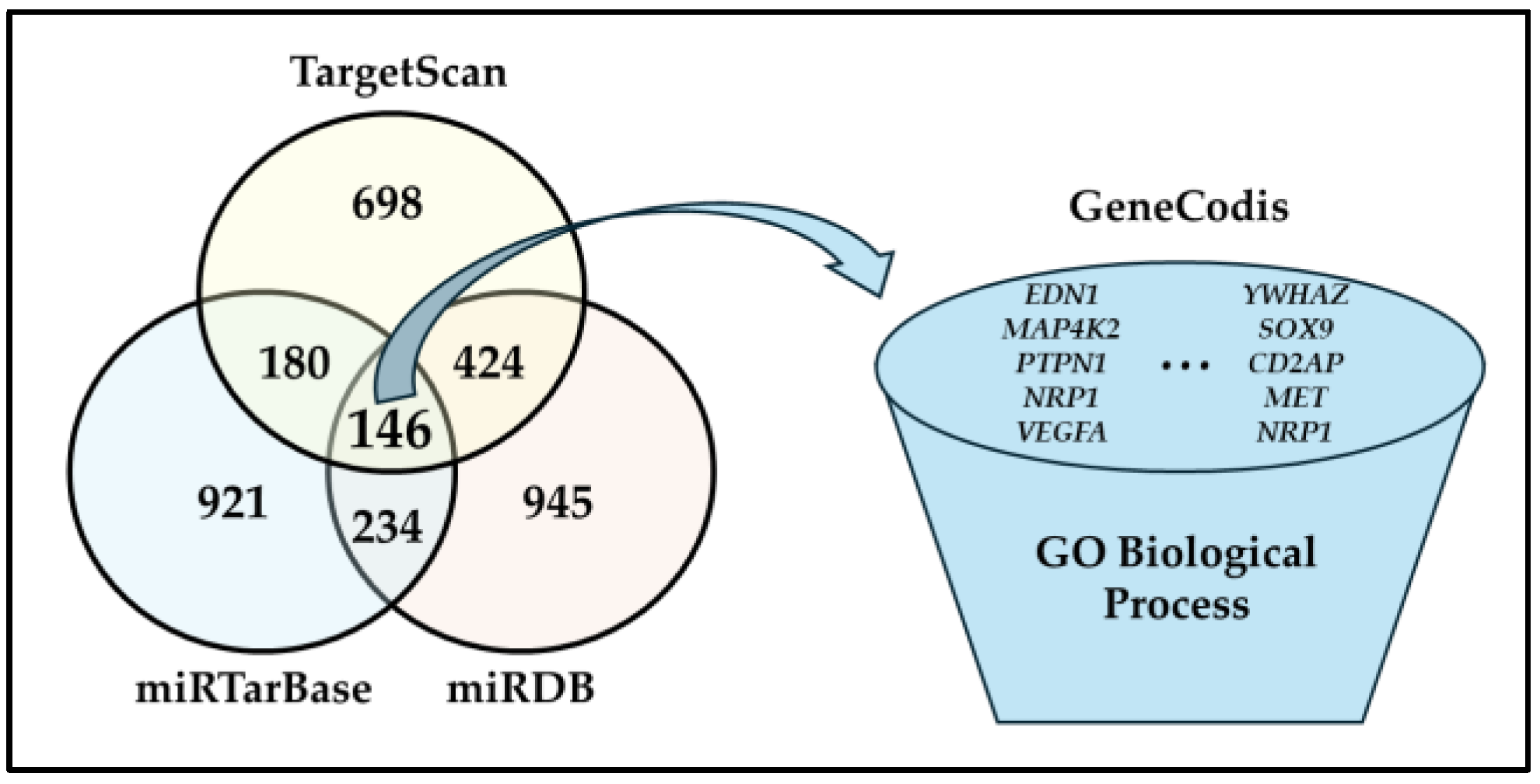 Ijms 26 00276 g001 Ijms 26 00276 g001