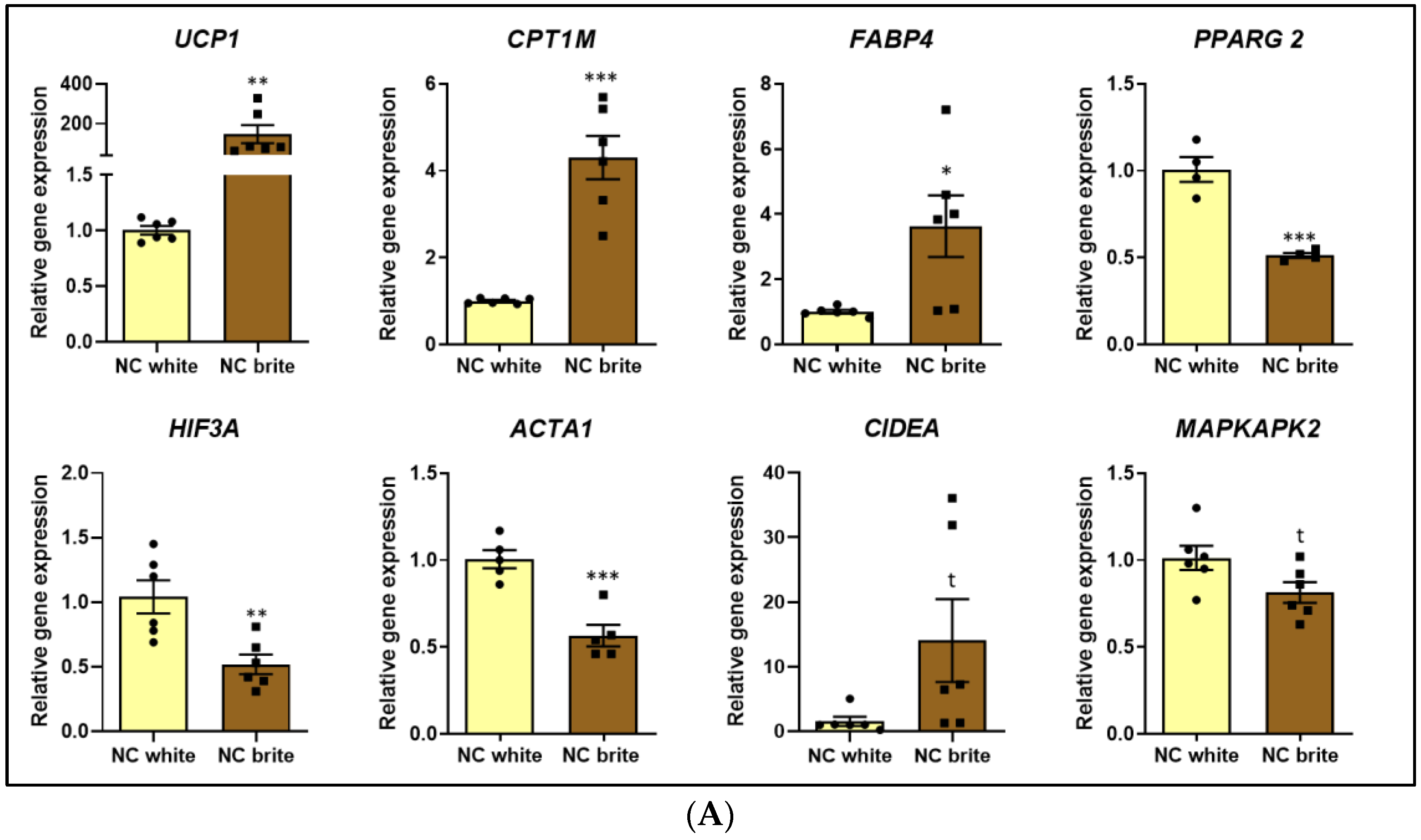 Ijms 26 00276 g002a Ijms 26 00276 g002a