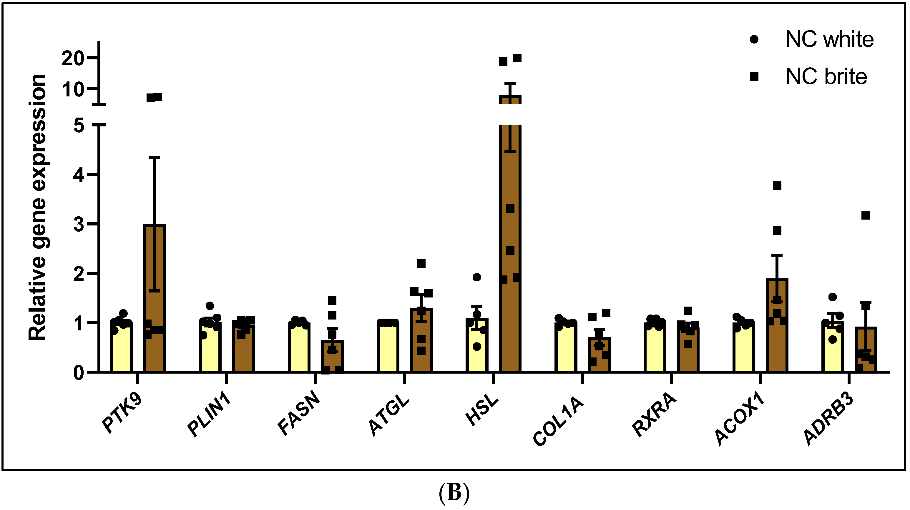 Ijms 26 00276 g002b Ijms 26 00276 g002b