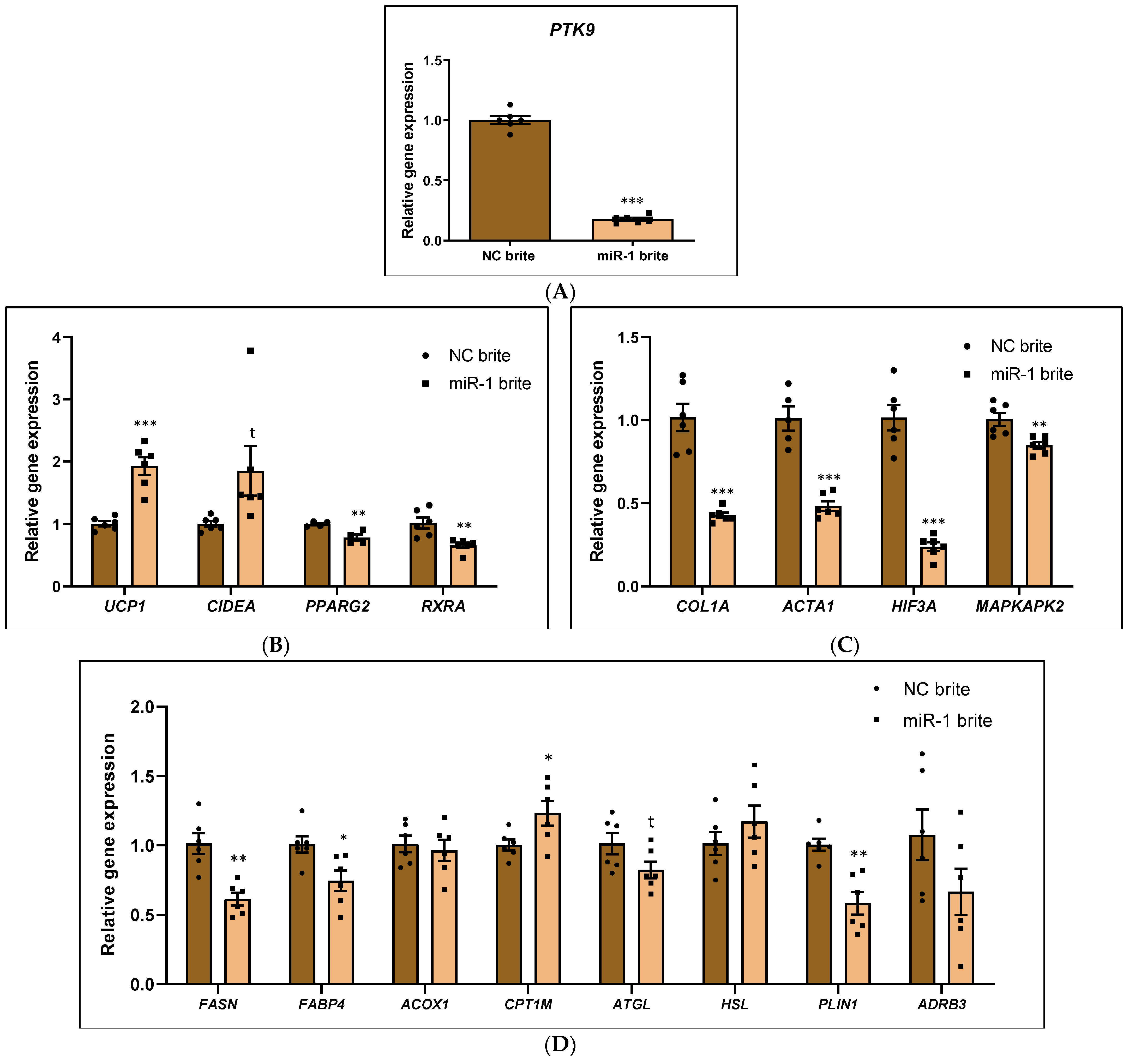 Ijms 26 00276 g003 Ijms 26 00276 g003