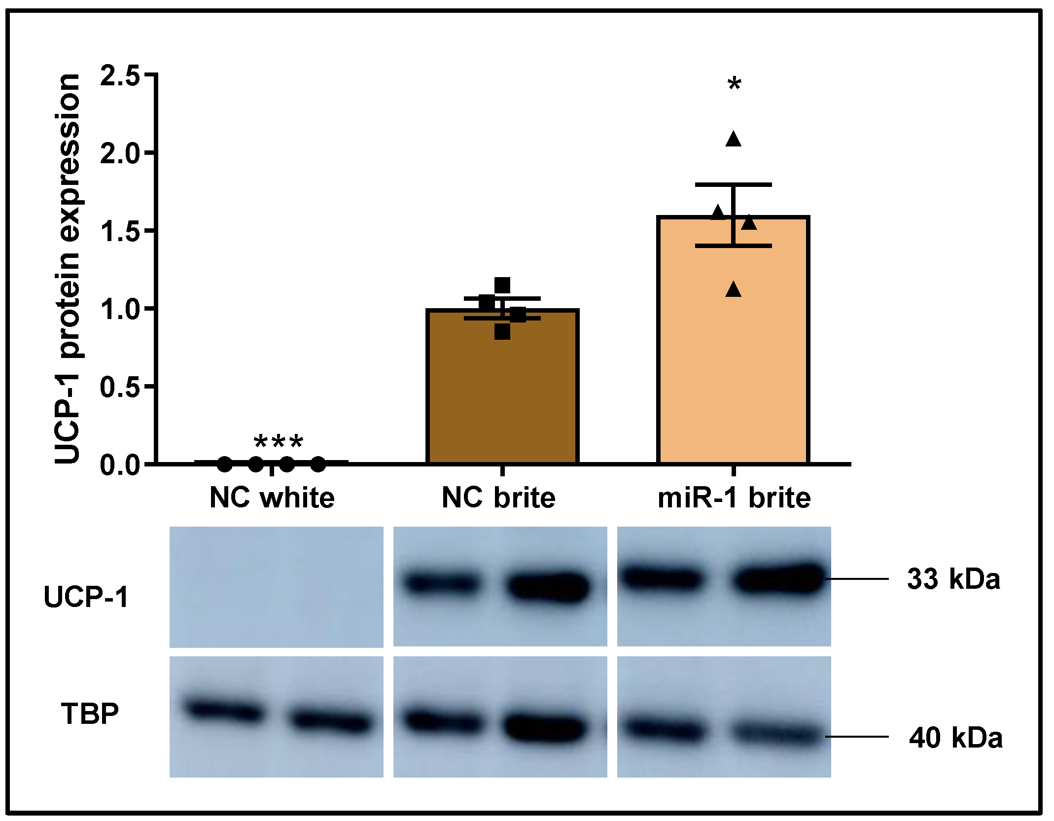 Ijms 26 00276 g004 Ijms 26 00276 g004