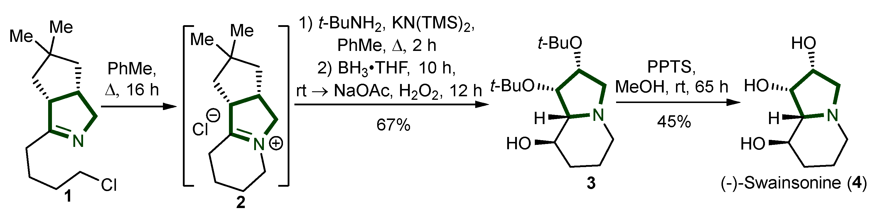 Ijms 26 00288 sch001 Ijms 26 00288 sch001