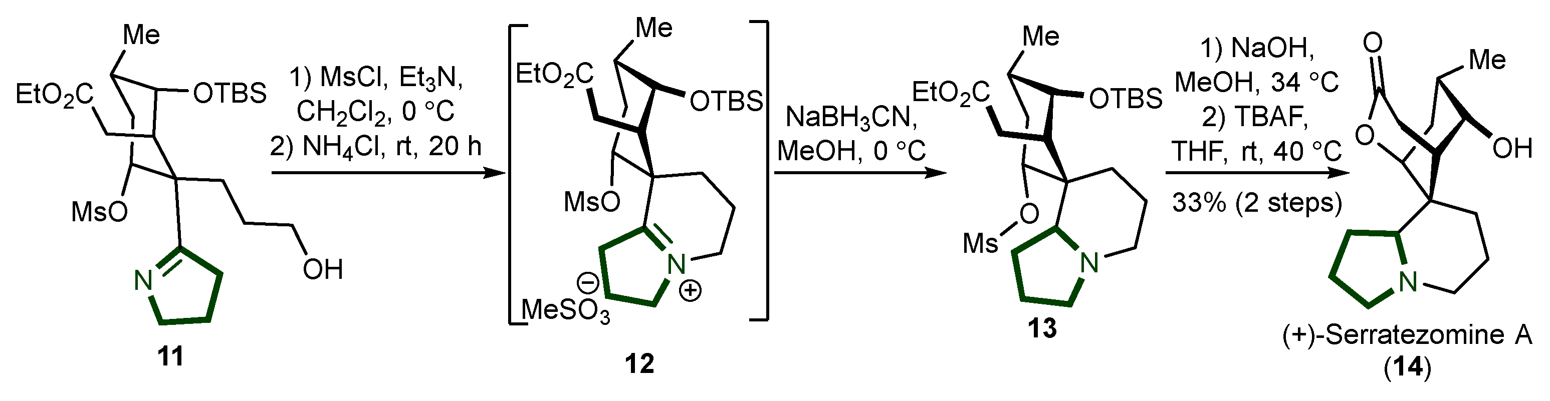Ijms 26 00288 sch003 Ijms 26 00288 sch003