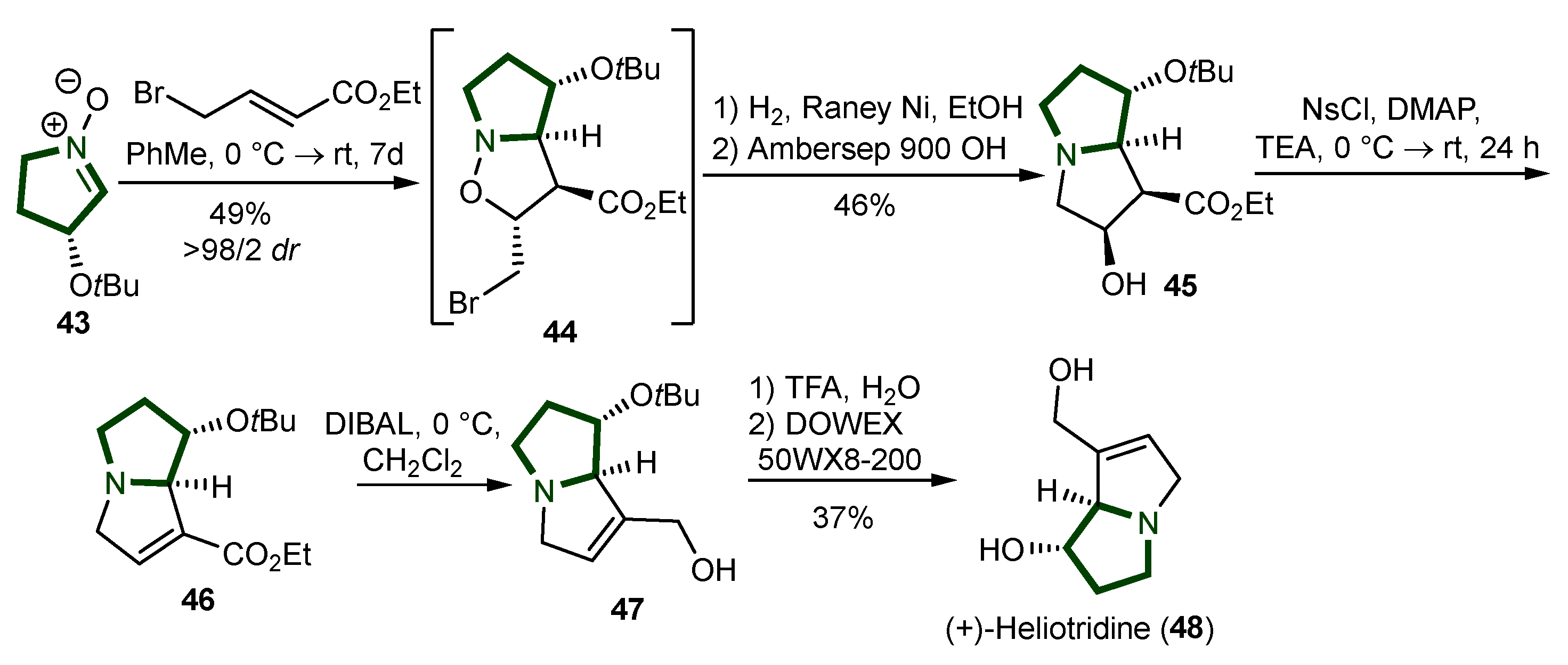 Ijms 26 00288 sch011 Ijms 26 00288 sch011