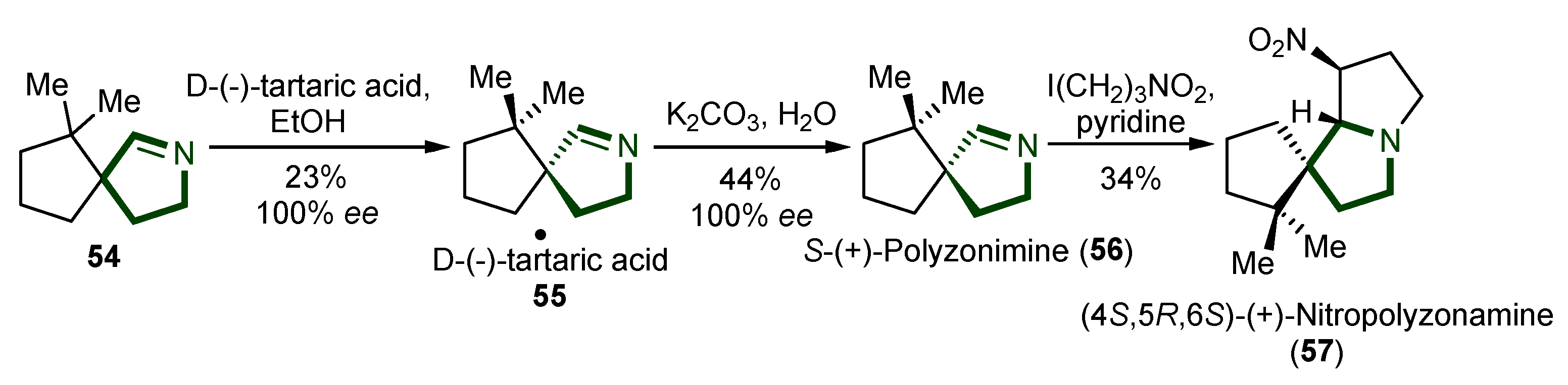 Ijms 26 00288 sch013 Ijms 26 00288 sch013