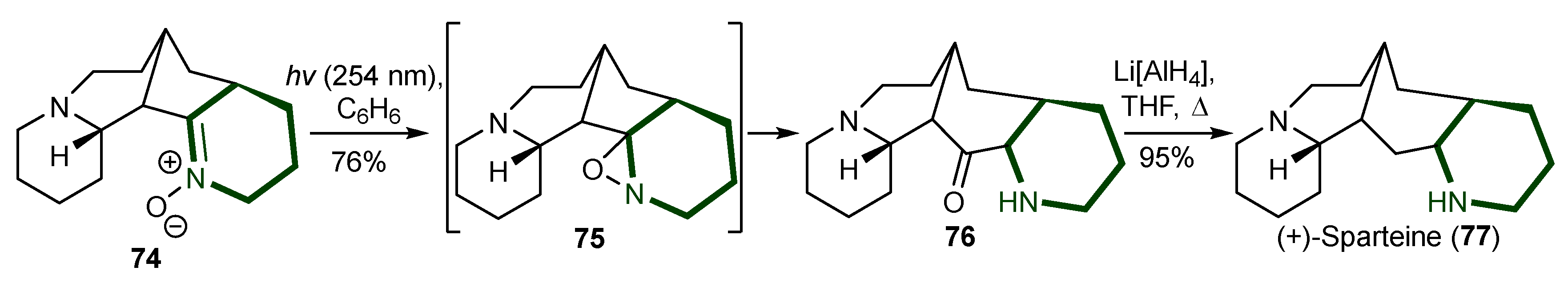 Ijms 26 00288 sch017 Ijms 26 00288 sch017